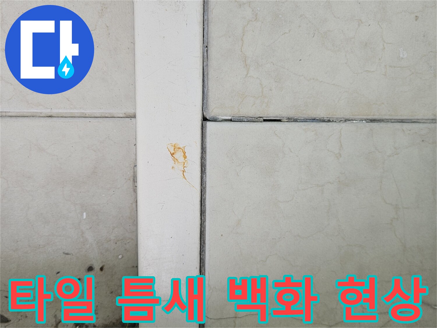 습기로 인해 하얗게 변한 타일 줄눈 부위 사진