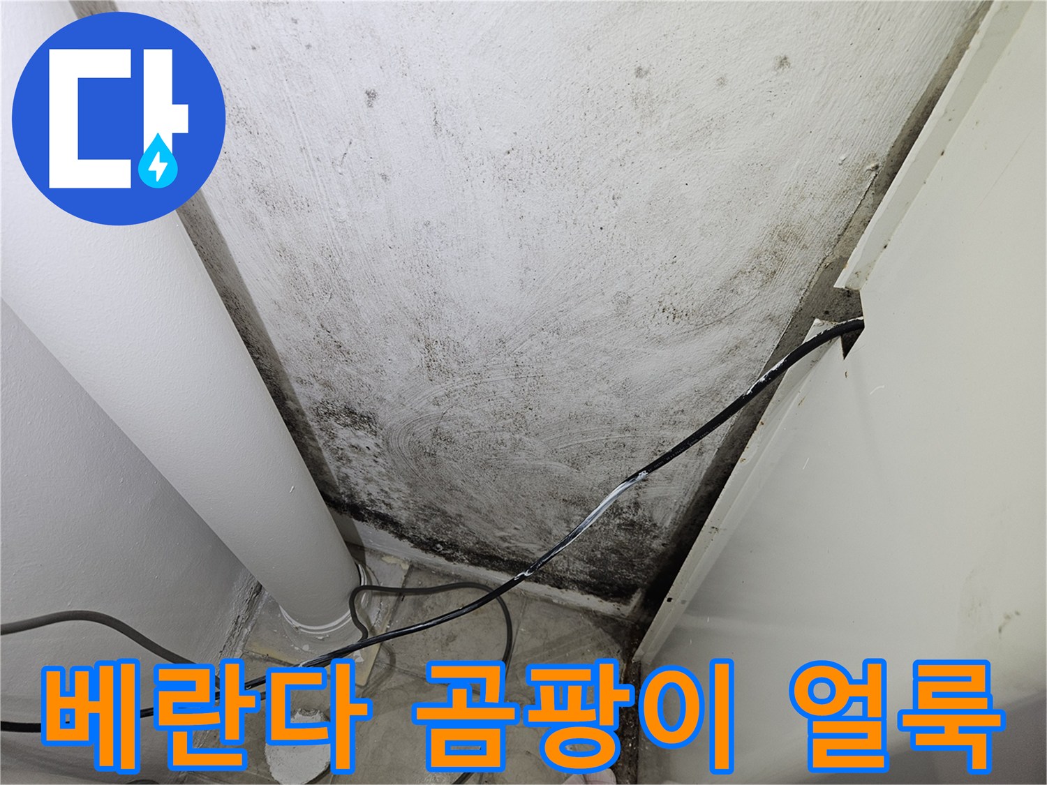 양주 아파트 베란다 벽면에 발생한 검은색 곰팡이와 습기 흔적