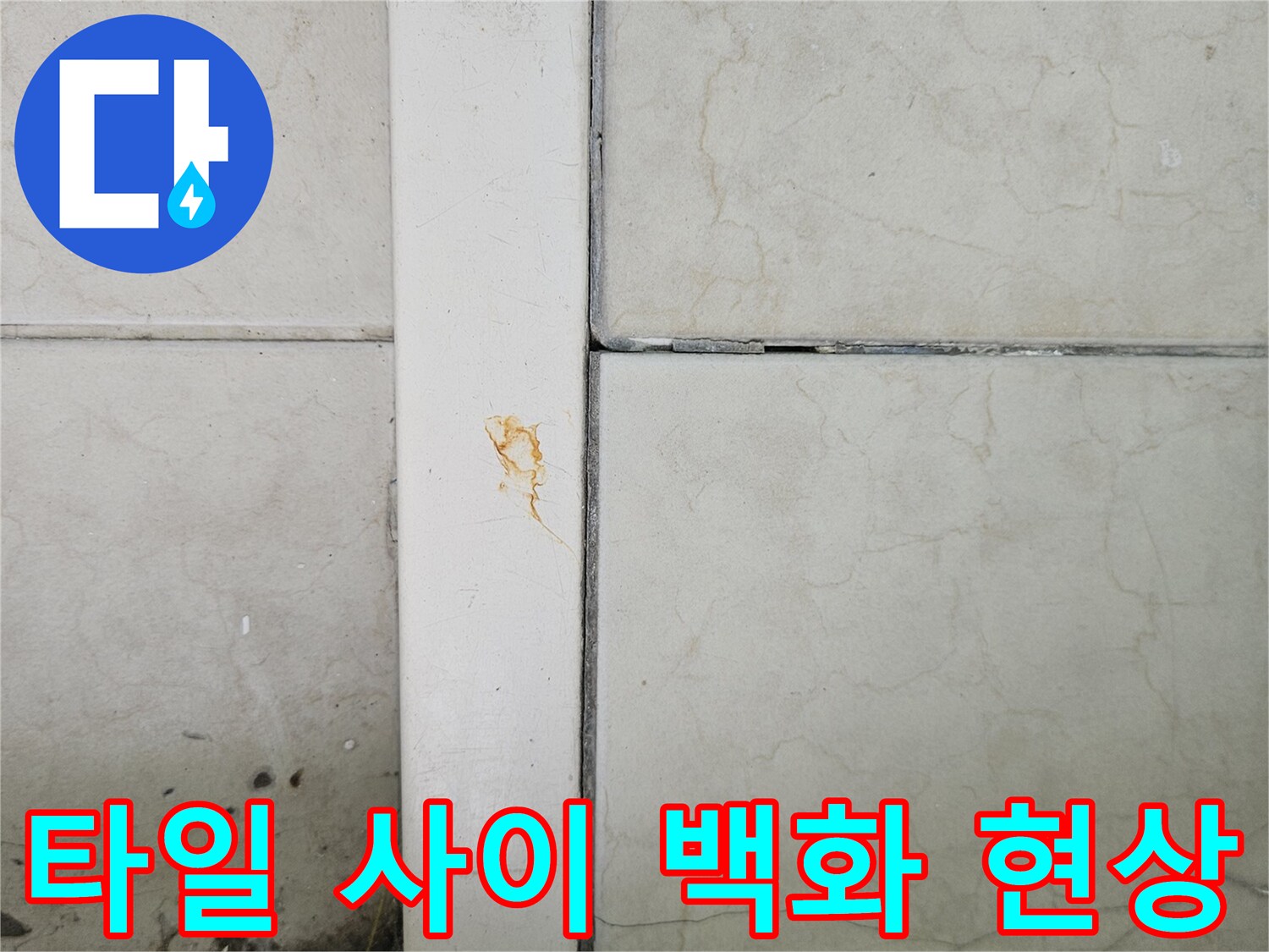 하얀 백화 현상이 나타난 베란다 타일 줄눈 부위 사진