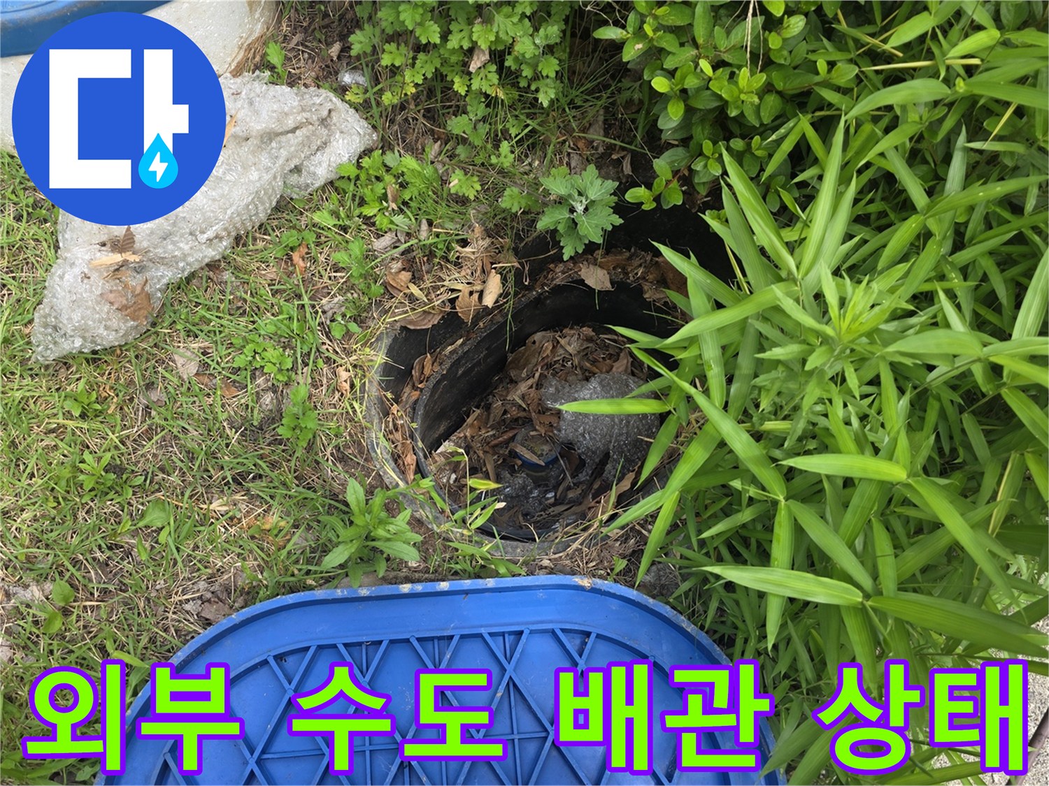 기흥구 현장-식물 사이로 보이는 외부 배관 점검구 주변 상황