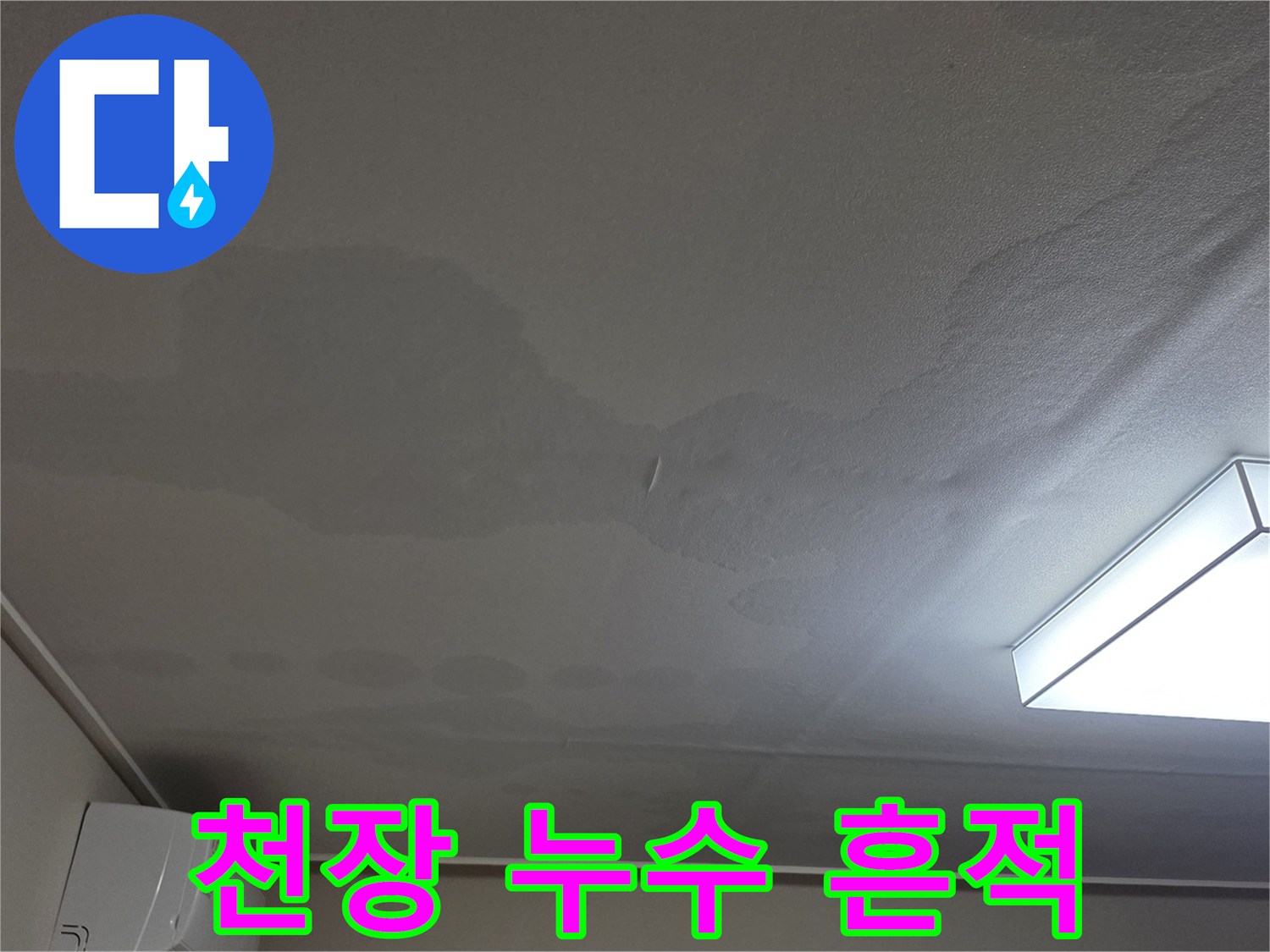 넓게 퍼진 천장 누수 얼룩-정밀 진단 단계