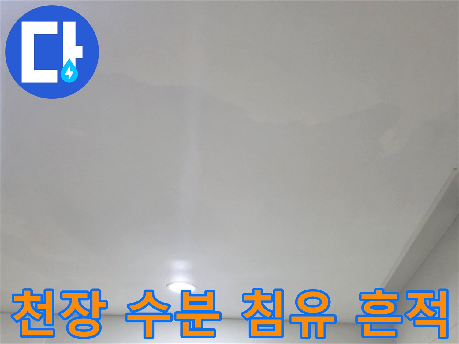 일산서구 현장-천장 벽지 변색 부위 촬영