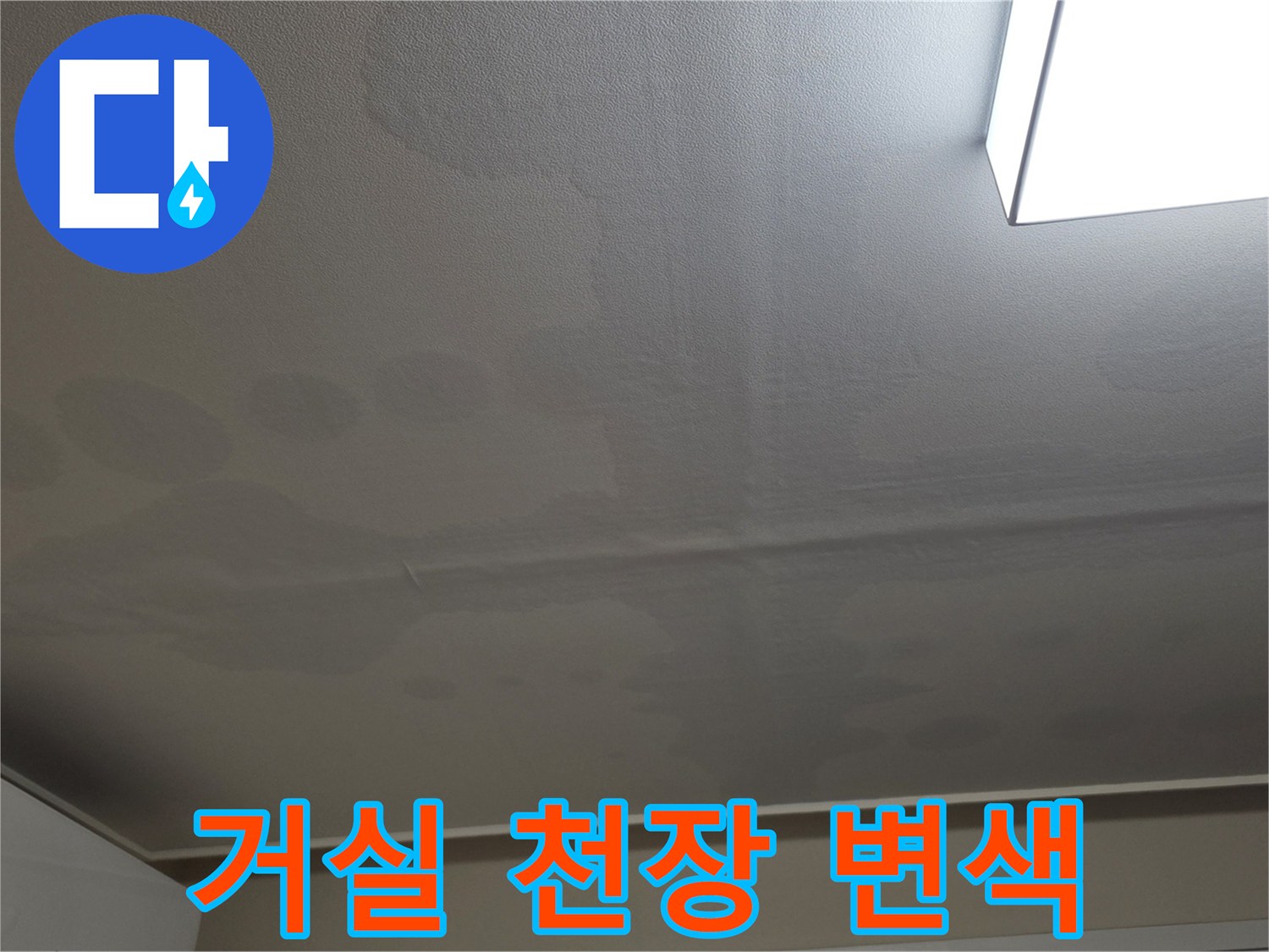 일산서구 현장 천장 벽지의 누수 얼룩 및 습기 흔적