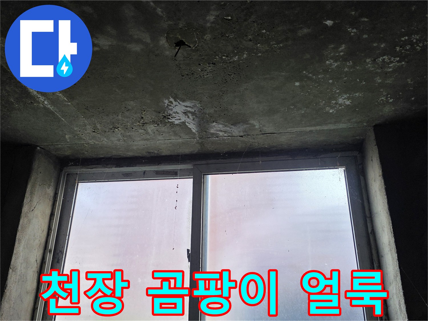 지하-층-천장-슬래브의-습기-및-곰팡이-발생-부위