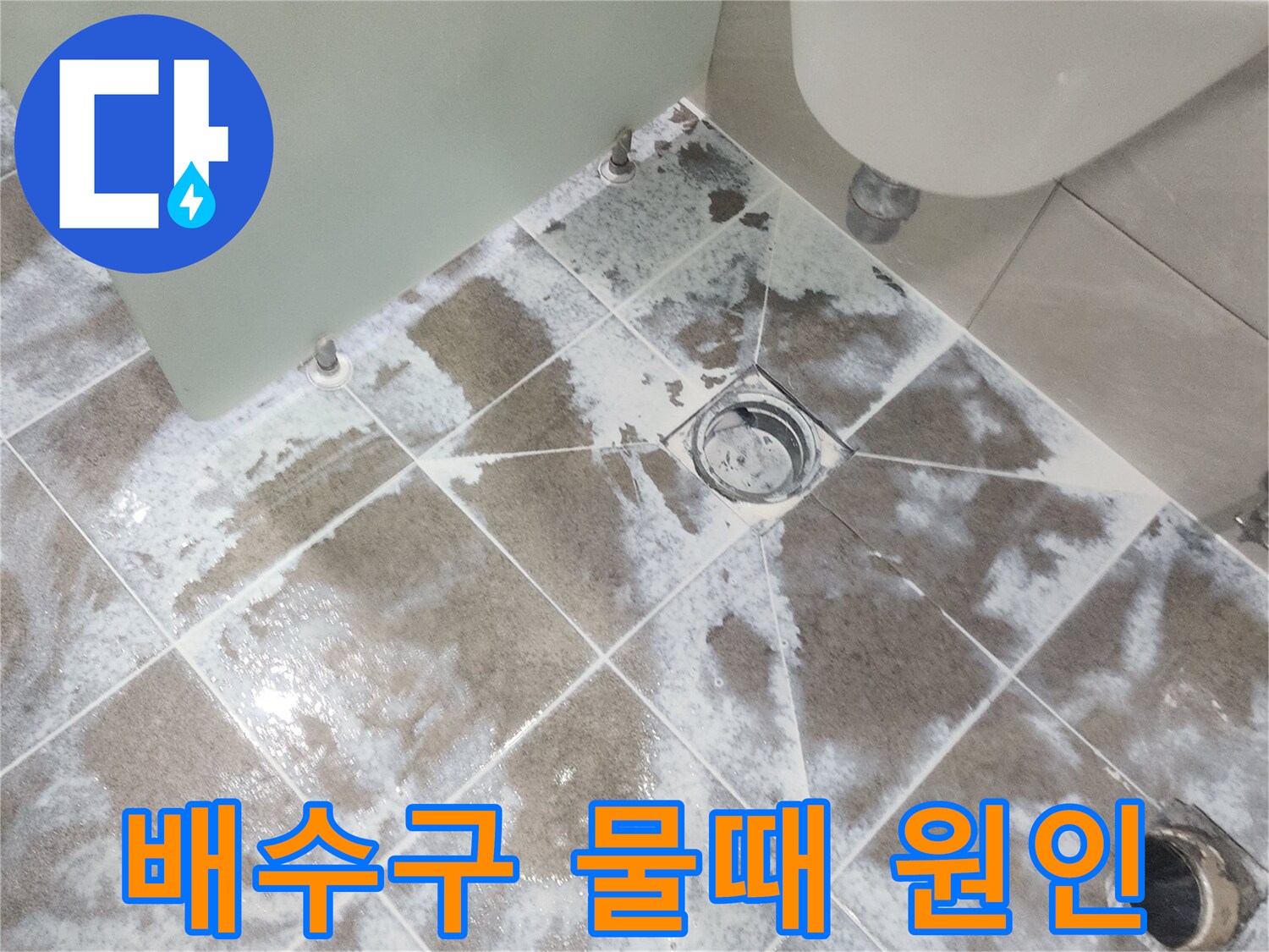 고양시 일산 지역-욕실 배수구 주변에-하얗게 낀 물때를 제거하며-누수 원인을 파악하는-공사 현장 사진
