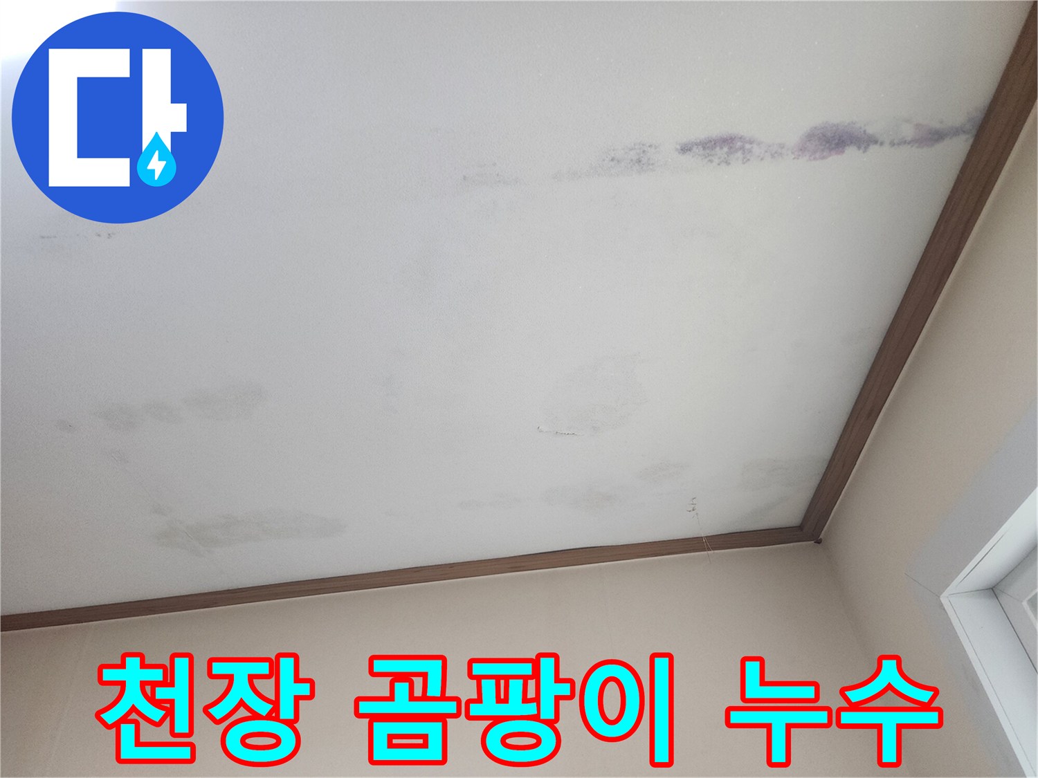 누수로 인해-천장에 생긴-곰팡이와-얼룩을 보여주는-피해 현장 사진