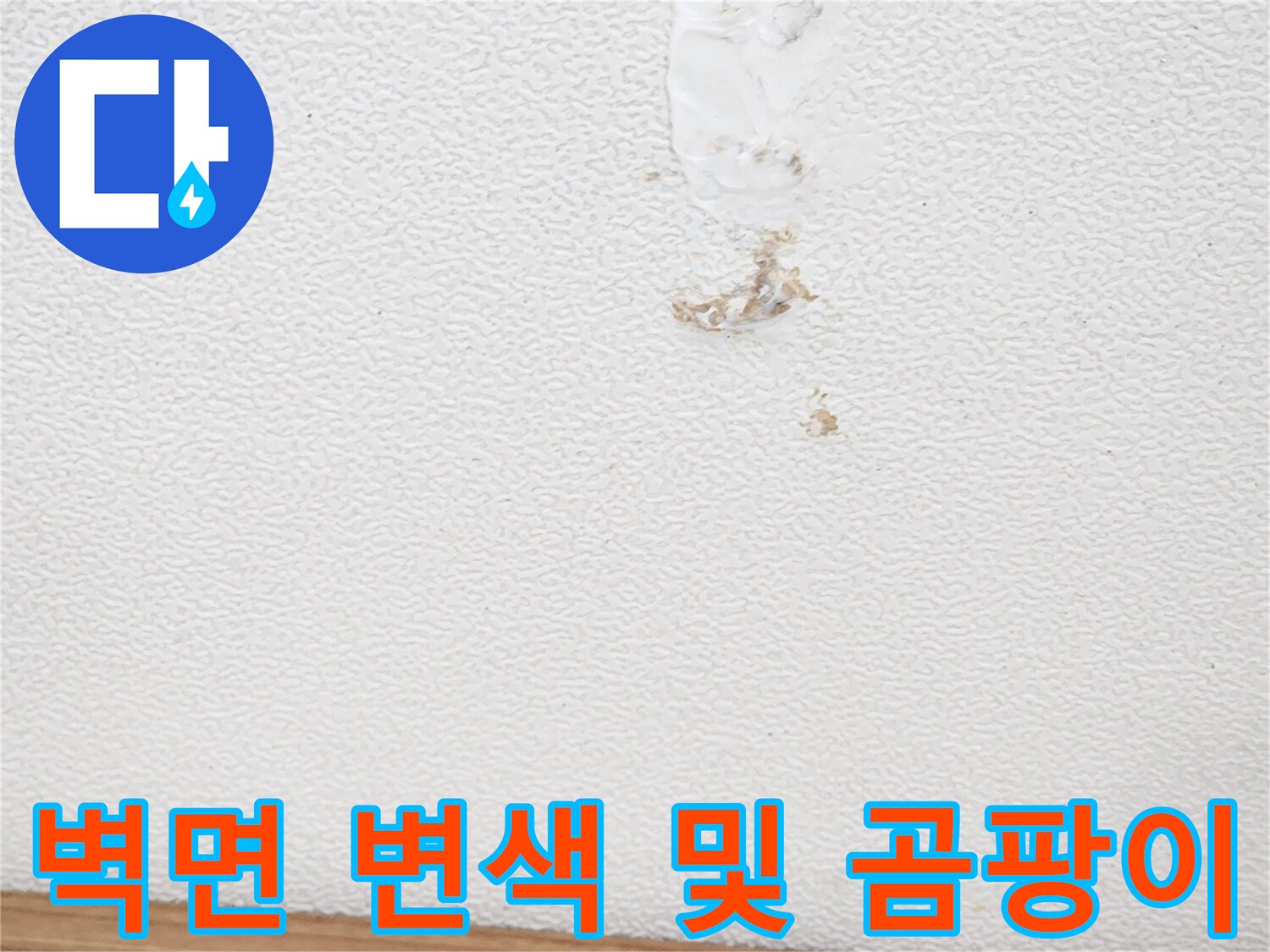 다세대주택-벽면의-변색과-곰팡이-흔적을-정밀하게-조사하는-모습