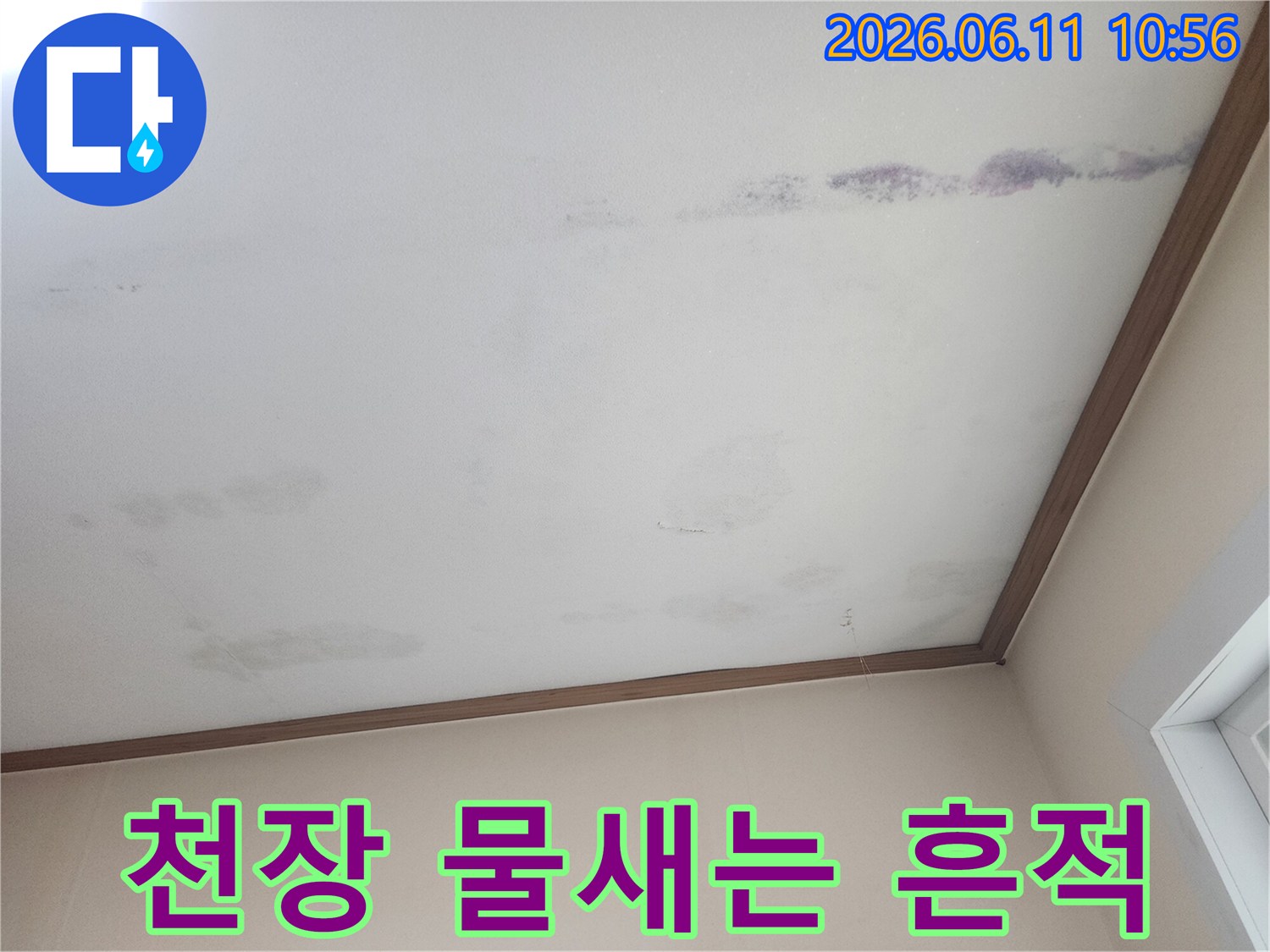 천장에서 물이-새어 나와-얼룩진 모습을-보여주는 사진