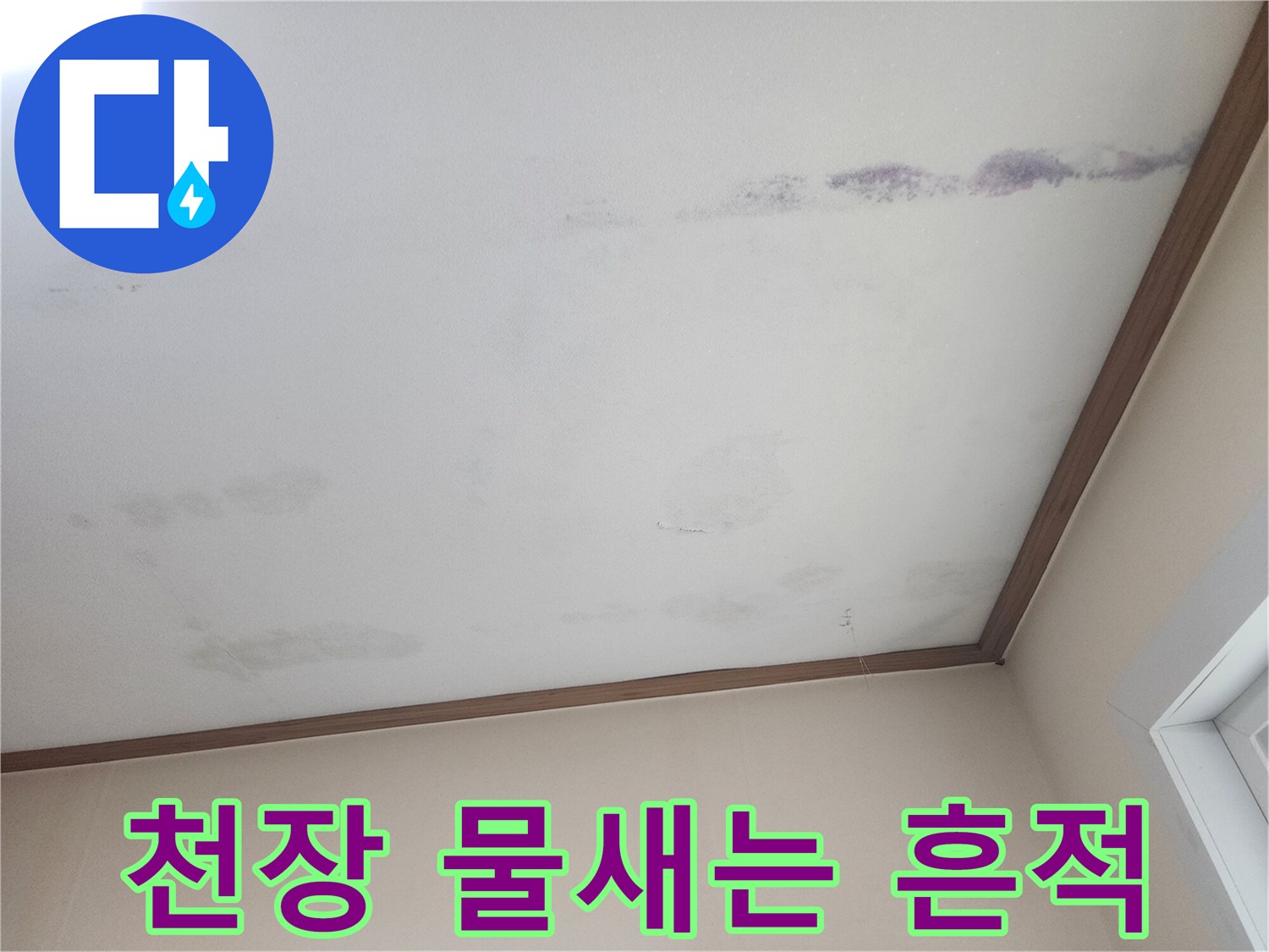 천장에서 물이-새어 나와-얼룩진 모습을-보여주는 사진
