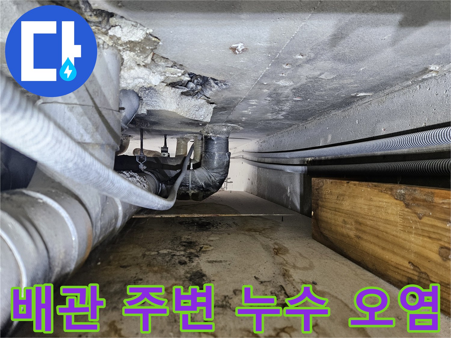 습기로 인해 젖어 있는 천장 슬라브와 배관 구조