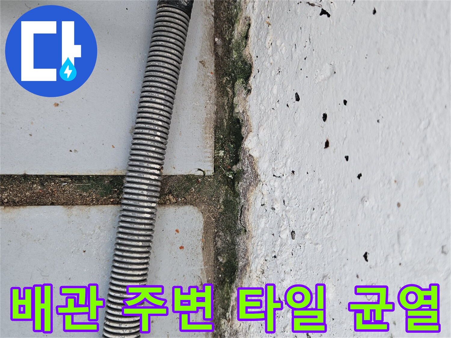 노후된 배관-주변 타일 틈새로 물이 스며든 모습