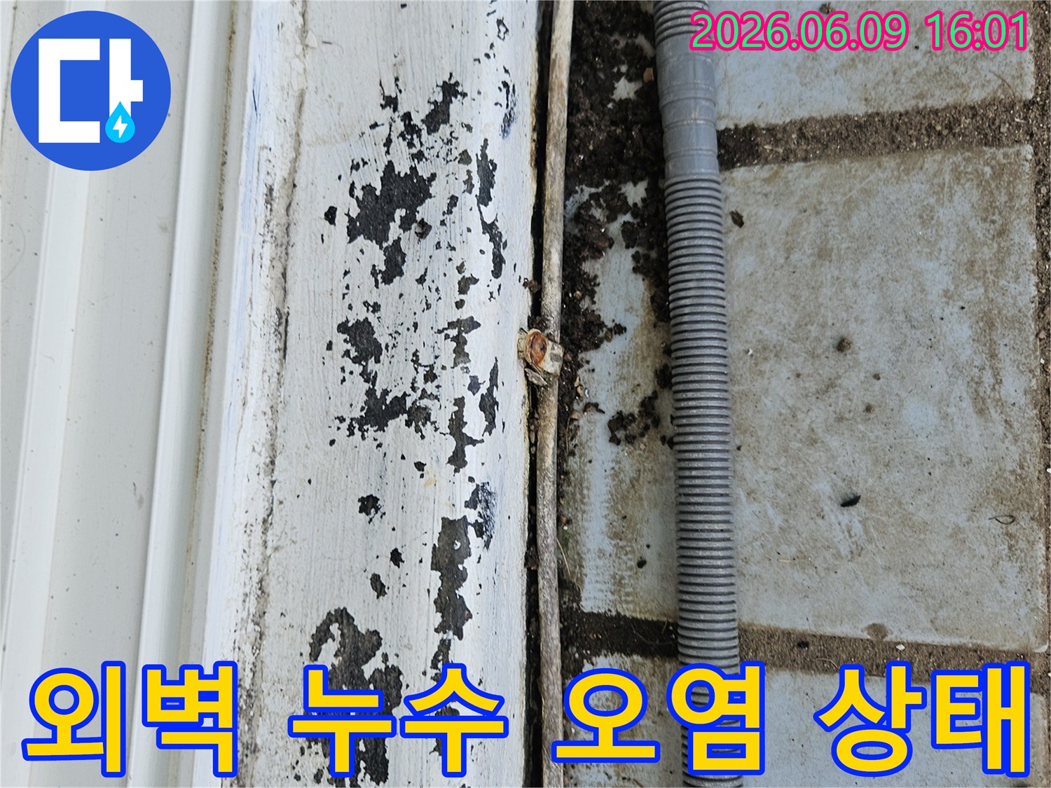 의정부 호원동 한신아파트 외벽의-누수로 인한-심각한 오염 상태와-주변 환경을-보여주는 현장 사진