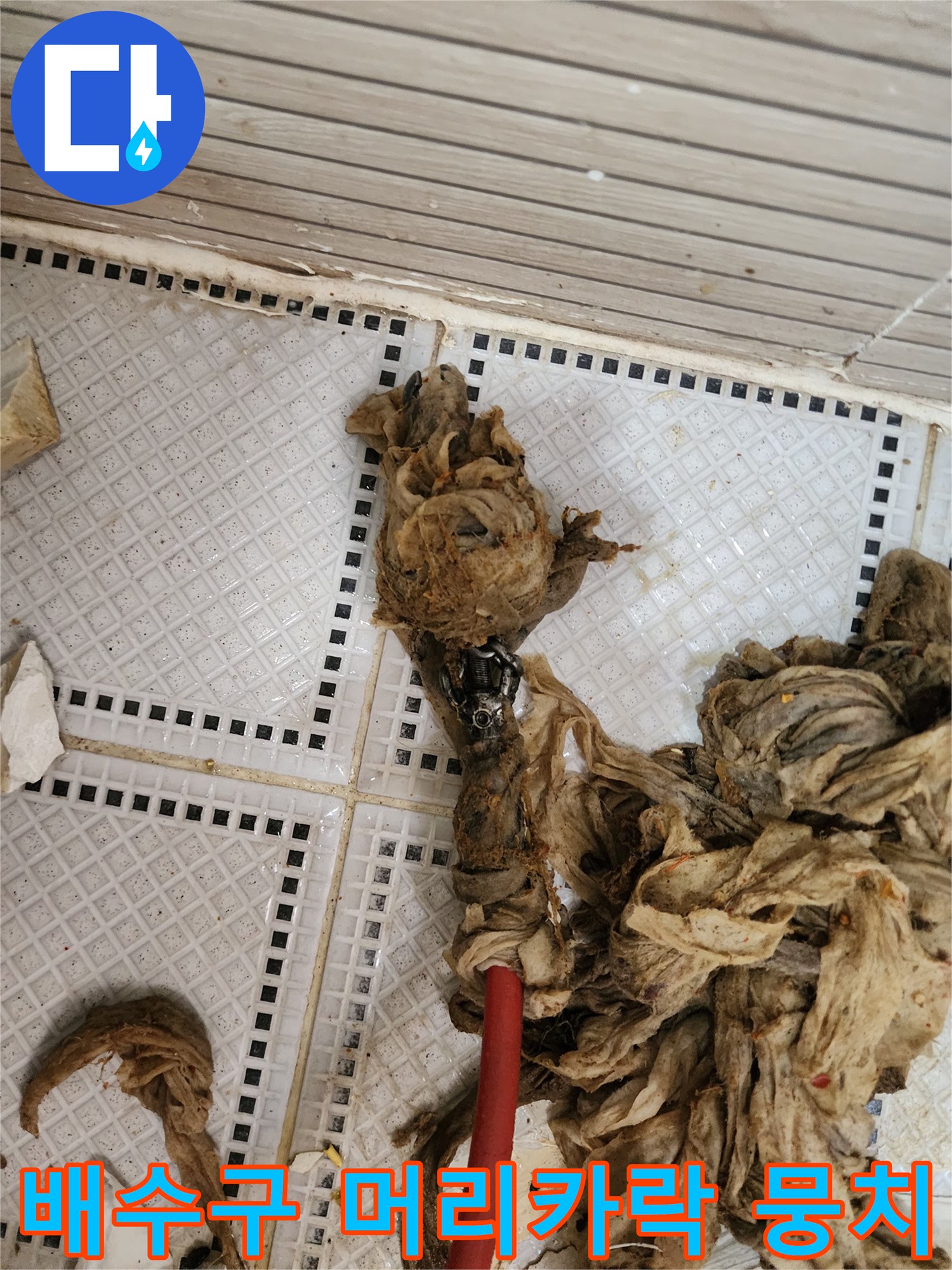 상계동 배수구에서 인양된 거대한 머리카락과 섬유 찌꺼기 뭉치