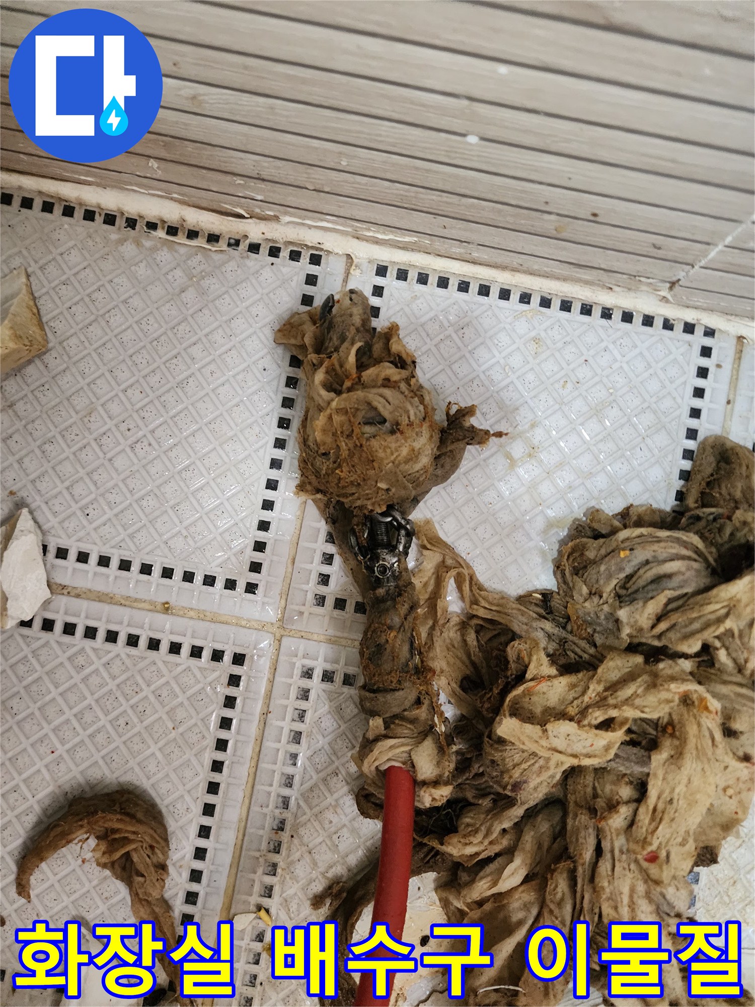 상계동 화장실 배수구에서 끌어올린 거대한 머리카락과 섬유 찌꺼기 덩어리