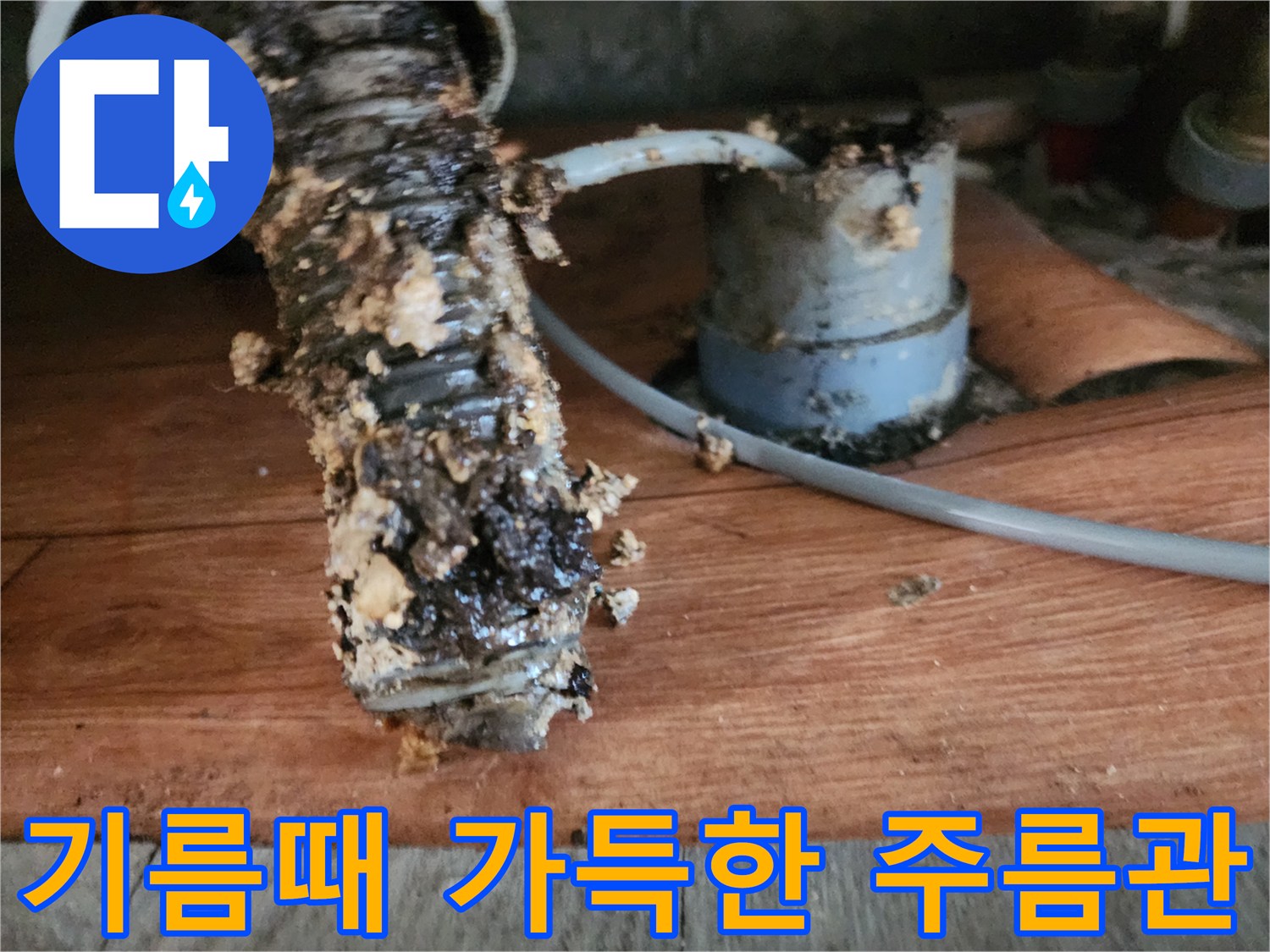 유지방 슬러지가 겉과 안까지 꽉 차 있는 싱크대 주름관 모습