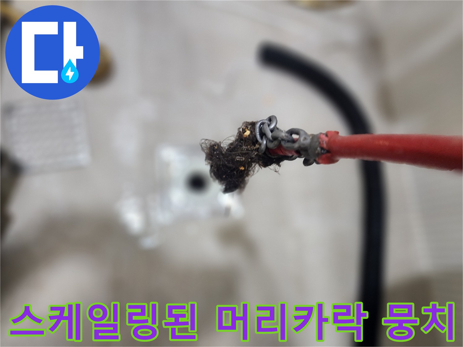 배관 스케일링 작업 후 추출된 머리카락과 오물 덩어리