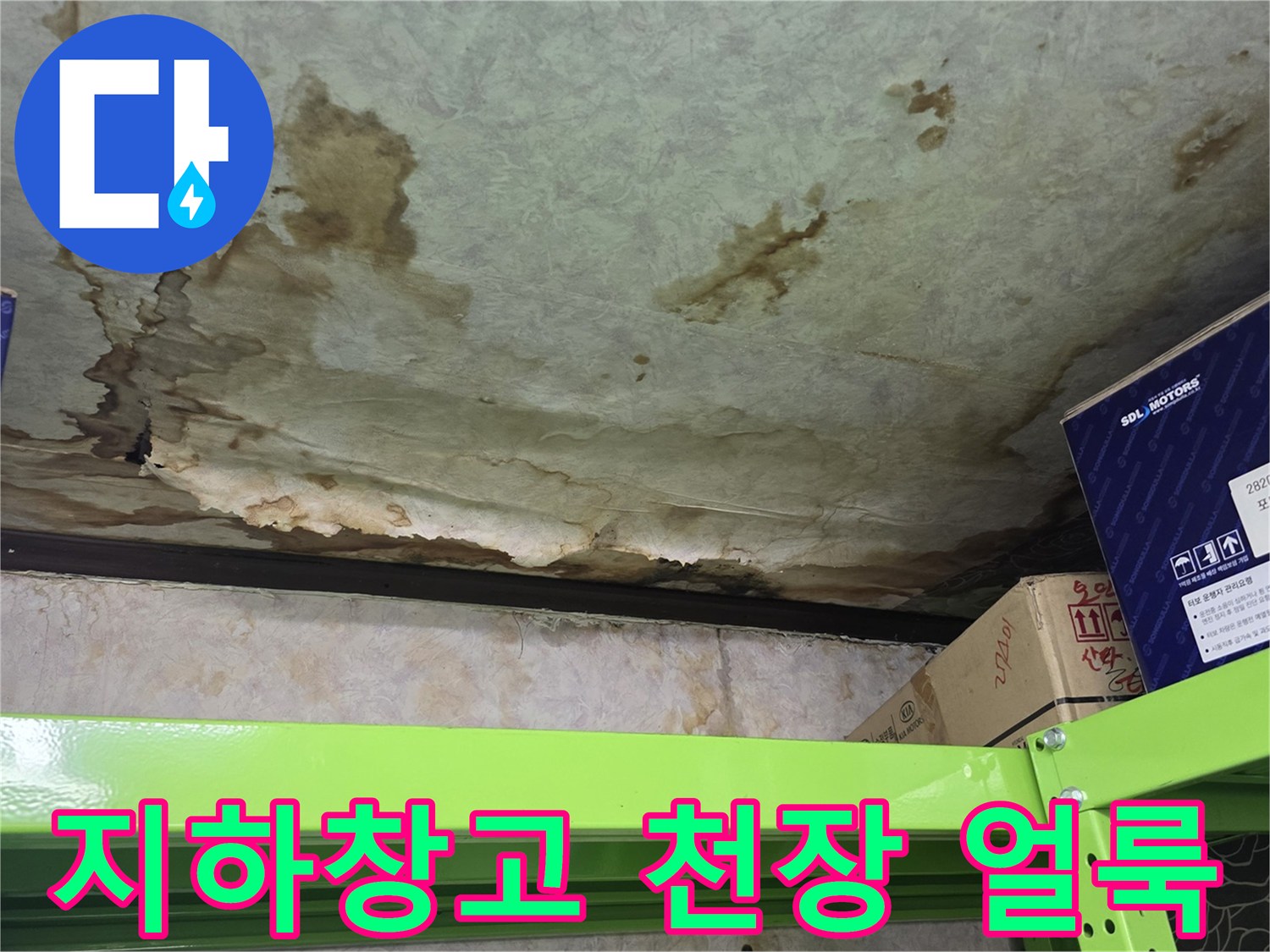 지하 창고 천장에 발생한 넓은 물자국과 습기로 인한 변색 상태입니다.