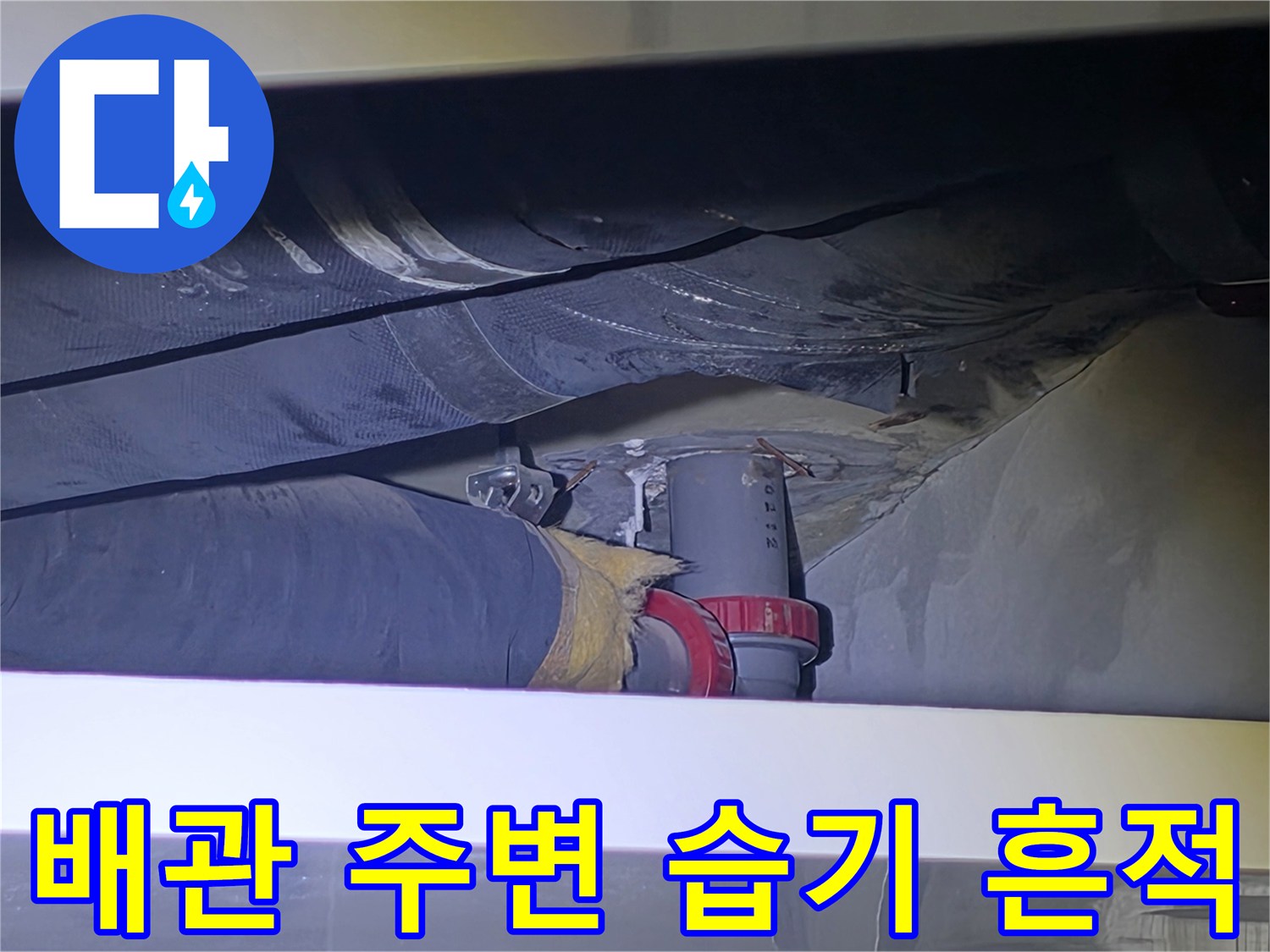 아파트-화장실-천장-배관-연결부위-습기-상태