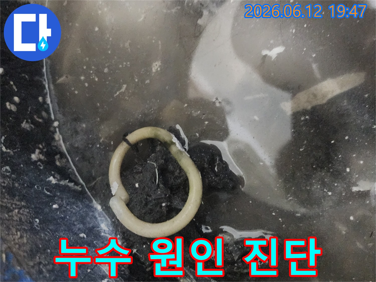 누수 현장에서 발견된-손상된 배관 부품-물이 고여있는 모습