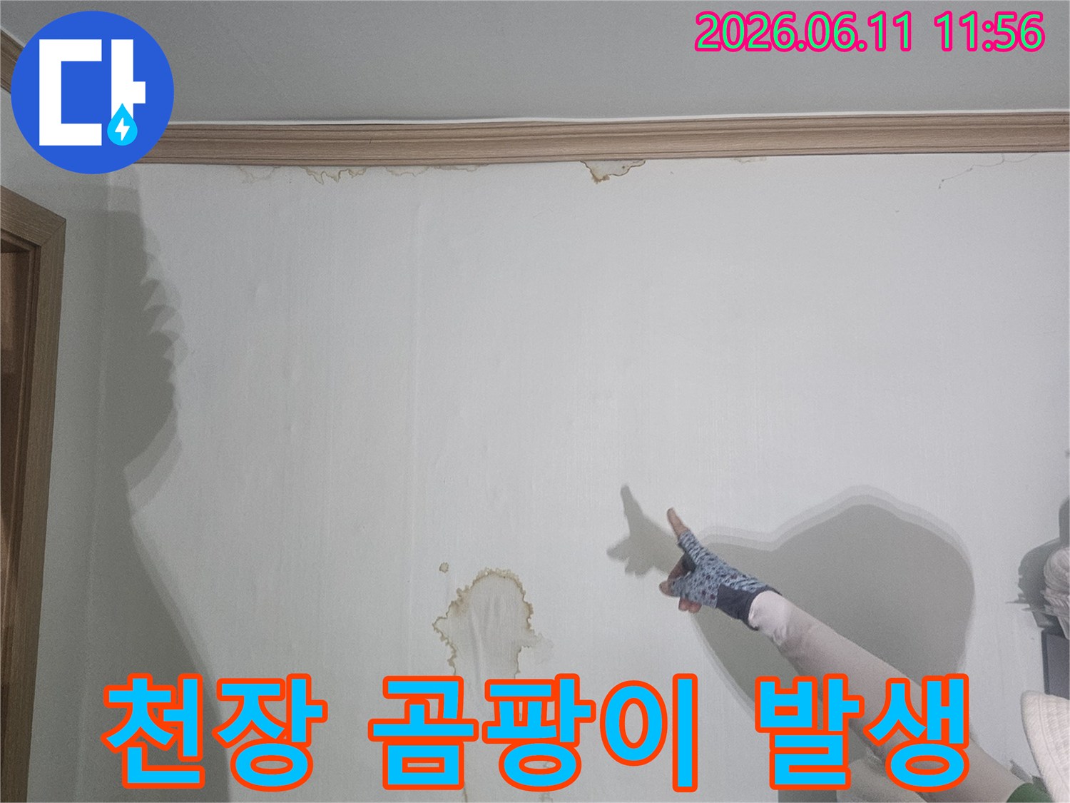 천장-누수-얼룩을-가리키며-곰팡이-발생-가능성을-설명하는-기술자