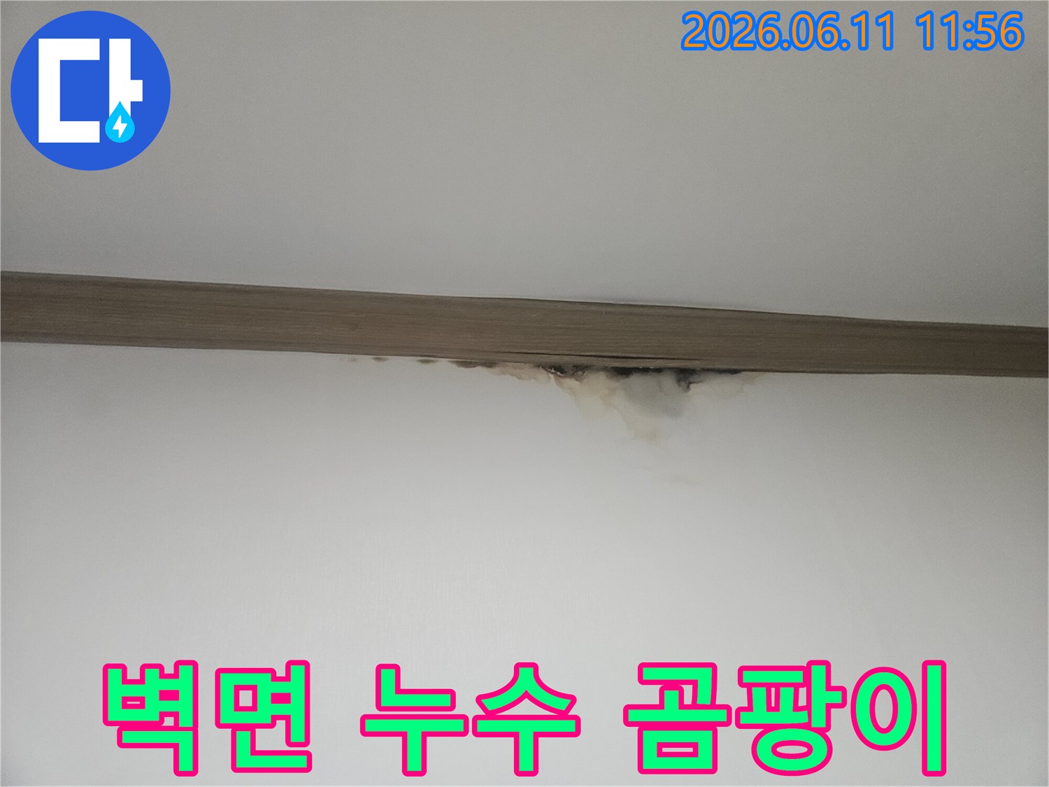 천장에서 물이 새어-벽지에 얼룩이 생긴-누수 현장 이미지
