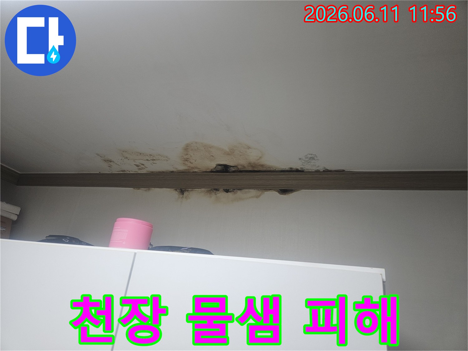 천장에서 물이 새어-마감재가 손상되고-검게 변색된-심각한 누수 현장