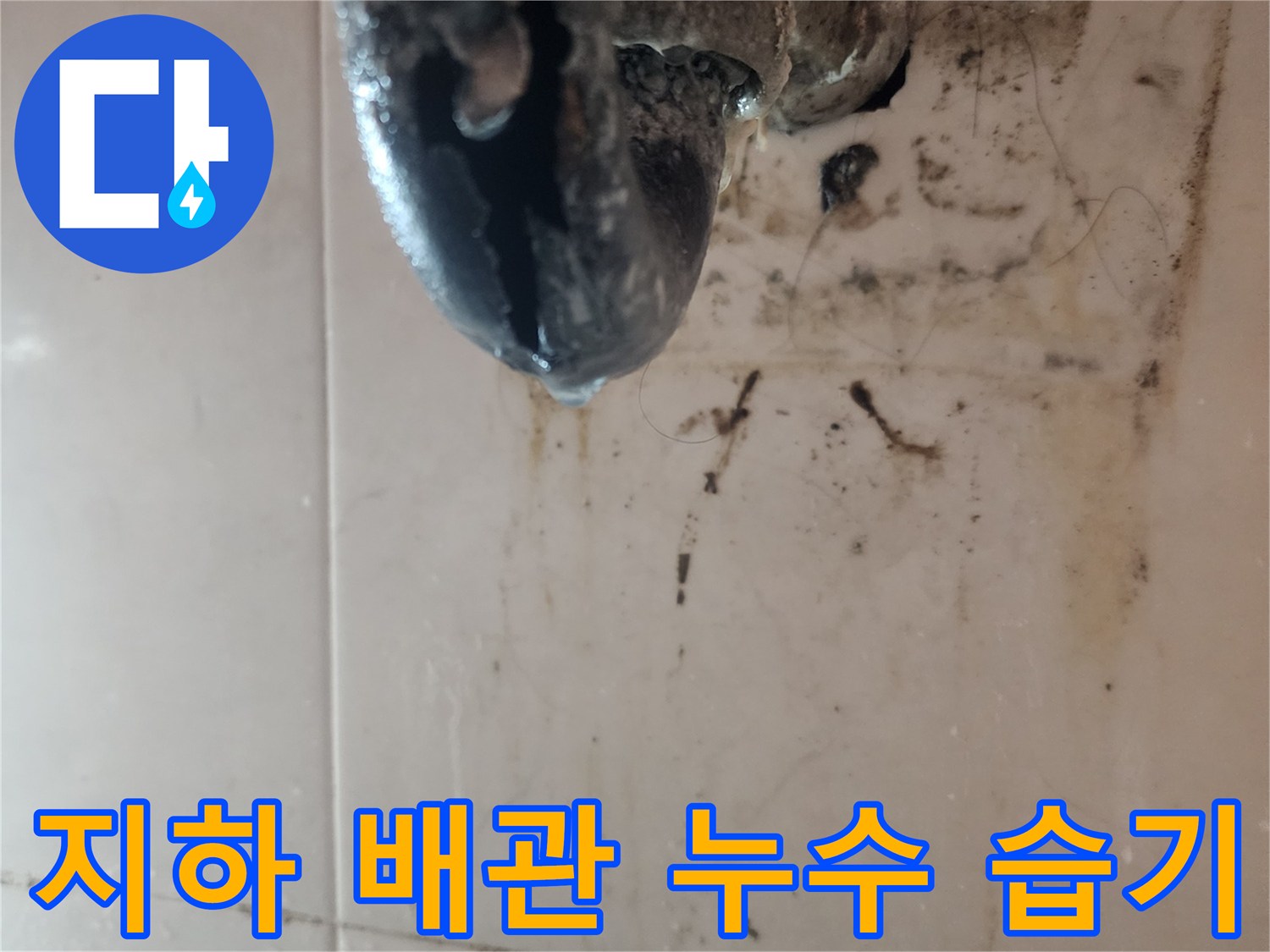 지하-배관에서-발생한-누수로-인해-심한-습기와-곰팡이가-생긴-현장을-보여주는-사진입니다