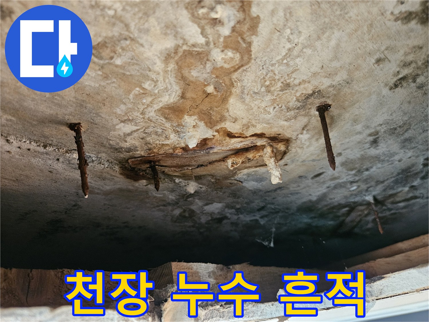 동작구 사당동 아파트 천장 부위의 누수 및 변색 현상