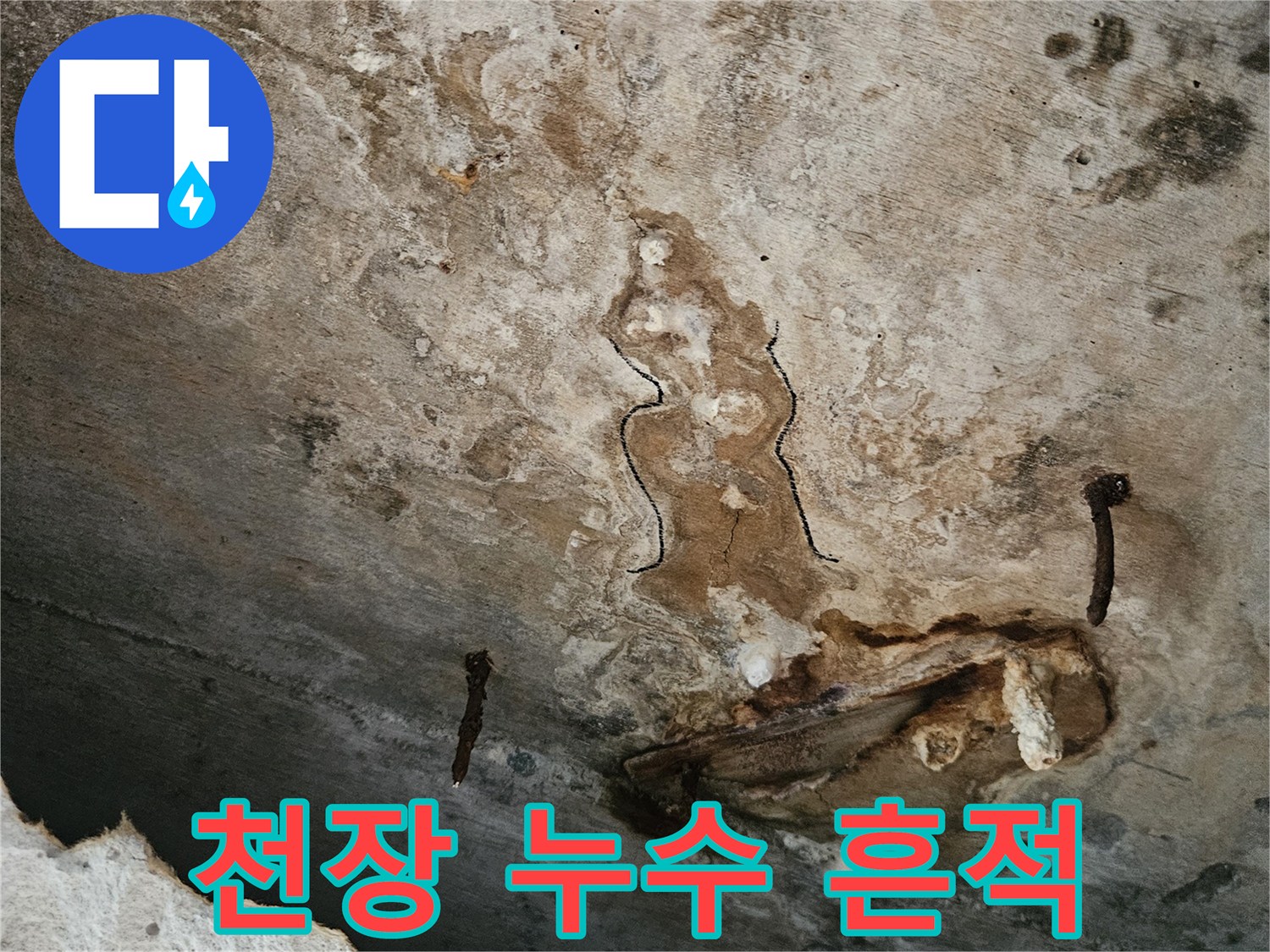 동작구 사당동 현장의 천장 물샘 및 곰팡이 발생 상태