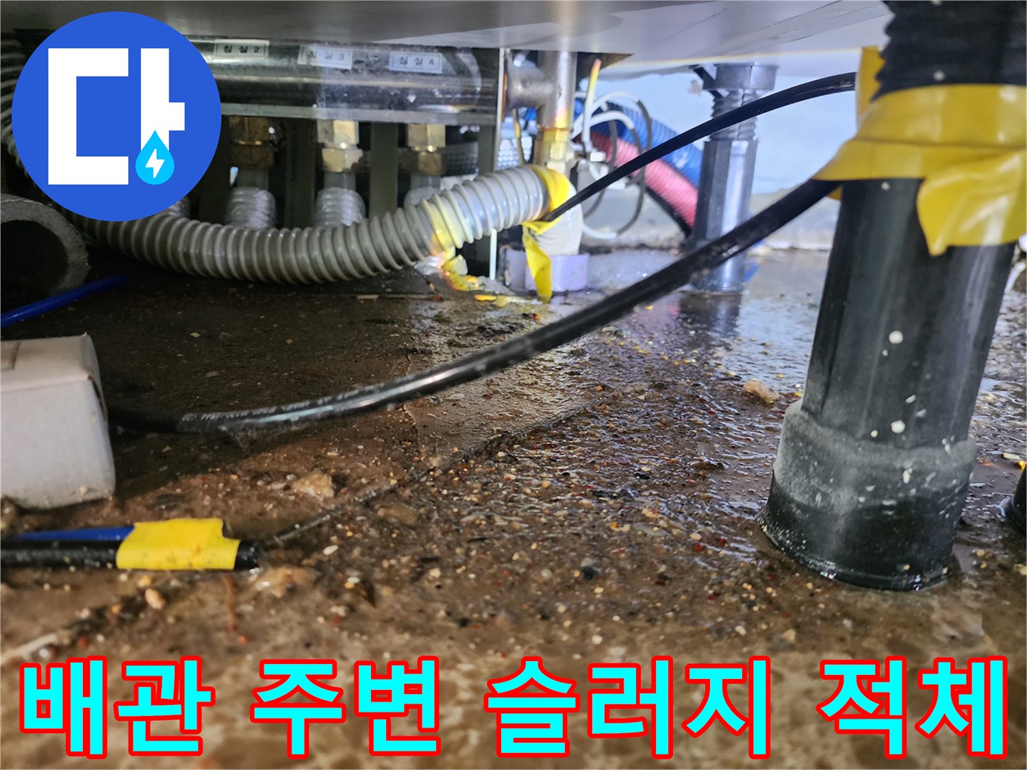 싱크대 배수 호스 아래 역류된 오물과 이물질