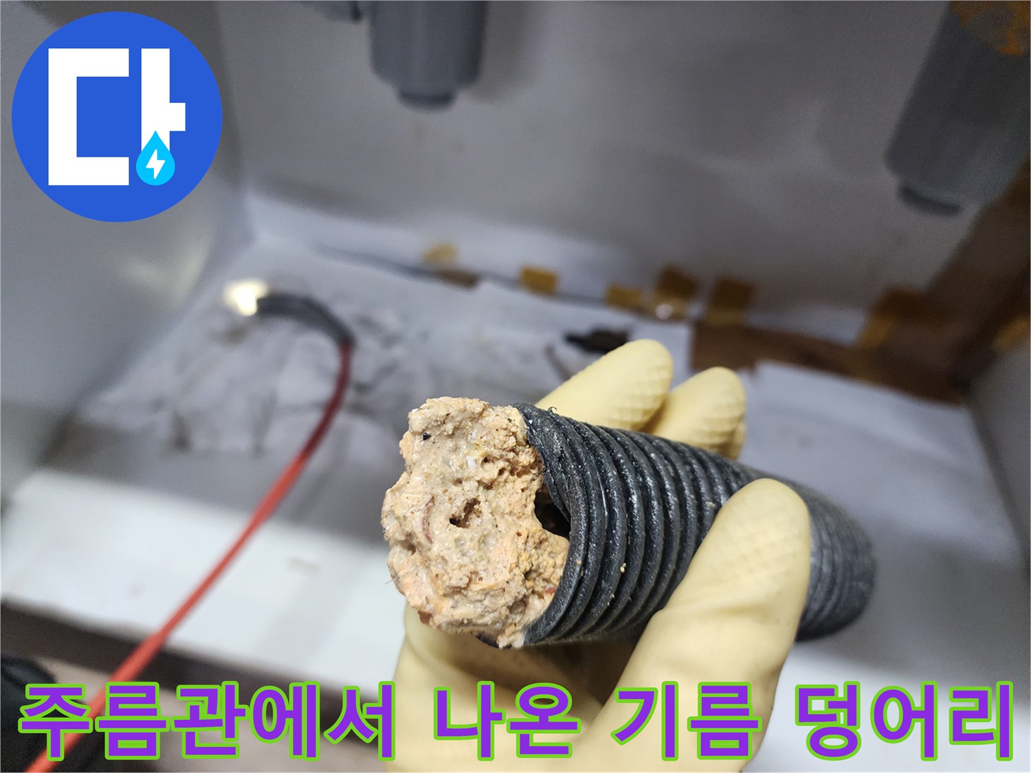 싱크대 하수구-배관에서 추출된 오염된 슬러지