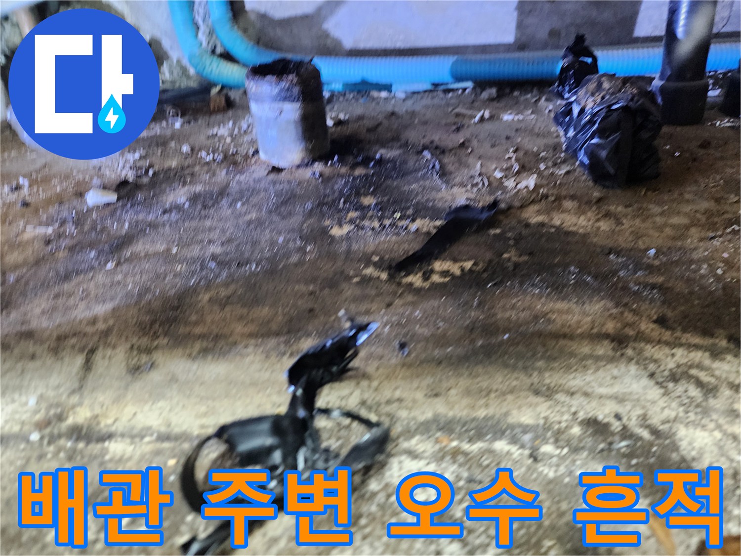오수가 역류하여 검게 변한 바닥과 배관 연결 부위의 오염