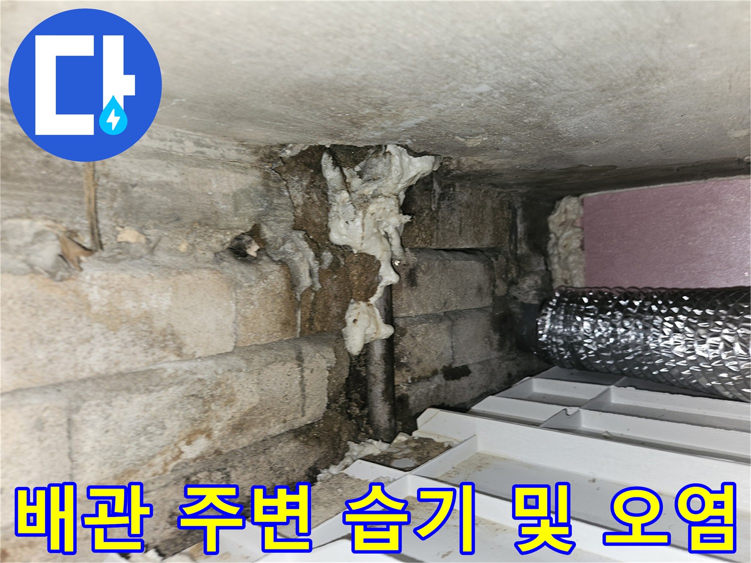배관-주변의-습윤한-상태와-이물질-발견