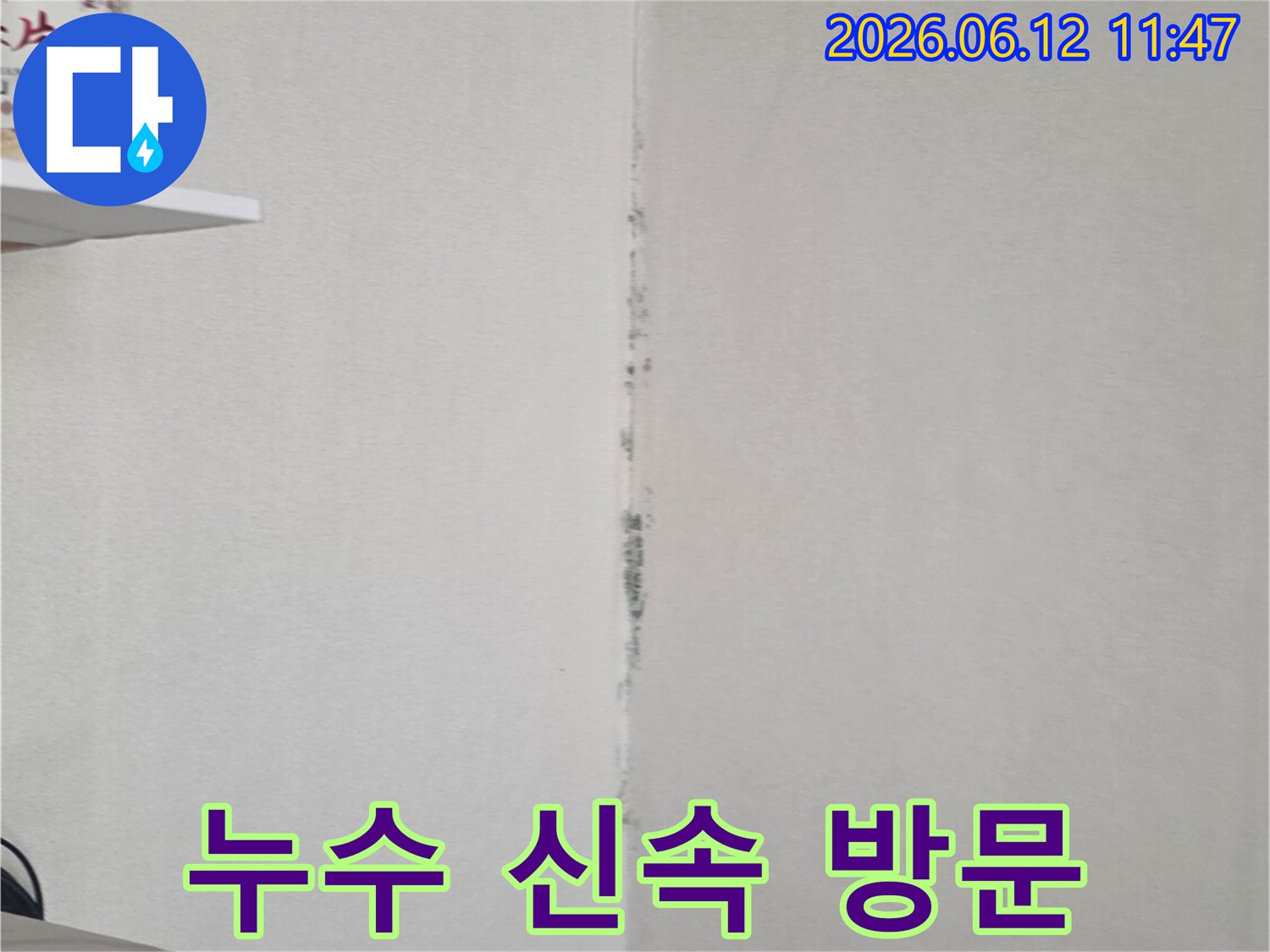 천장 모서리에 검은 곰팡이가 번져 있어-신속한 누수 진단과 방문 서비스가 필요함을 보여줍니다.