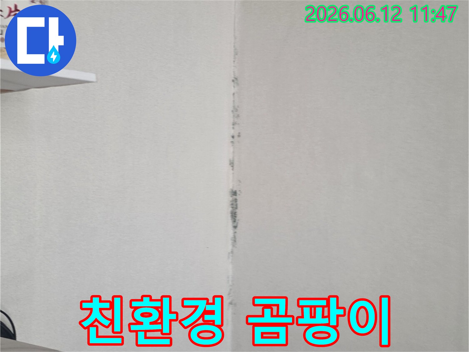 천장 모서리에 검은 곰팡이가 번져 있어-친환경적인 방법으로 곰팡이를 안전하게 제거해야 함을 보여줍니다.