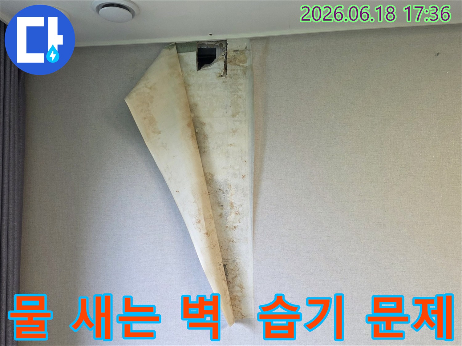 벽지 아래로 물이 스며들어-심하게 젖고 곰팡이가 번식한 누수 현장