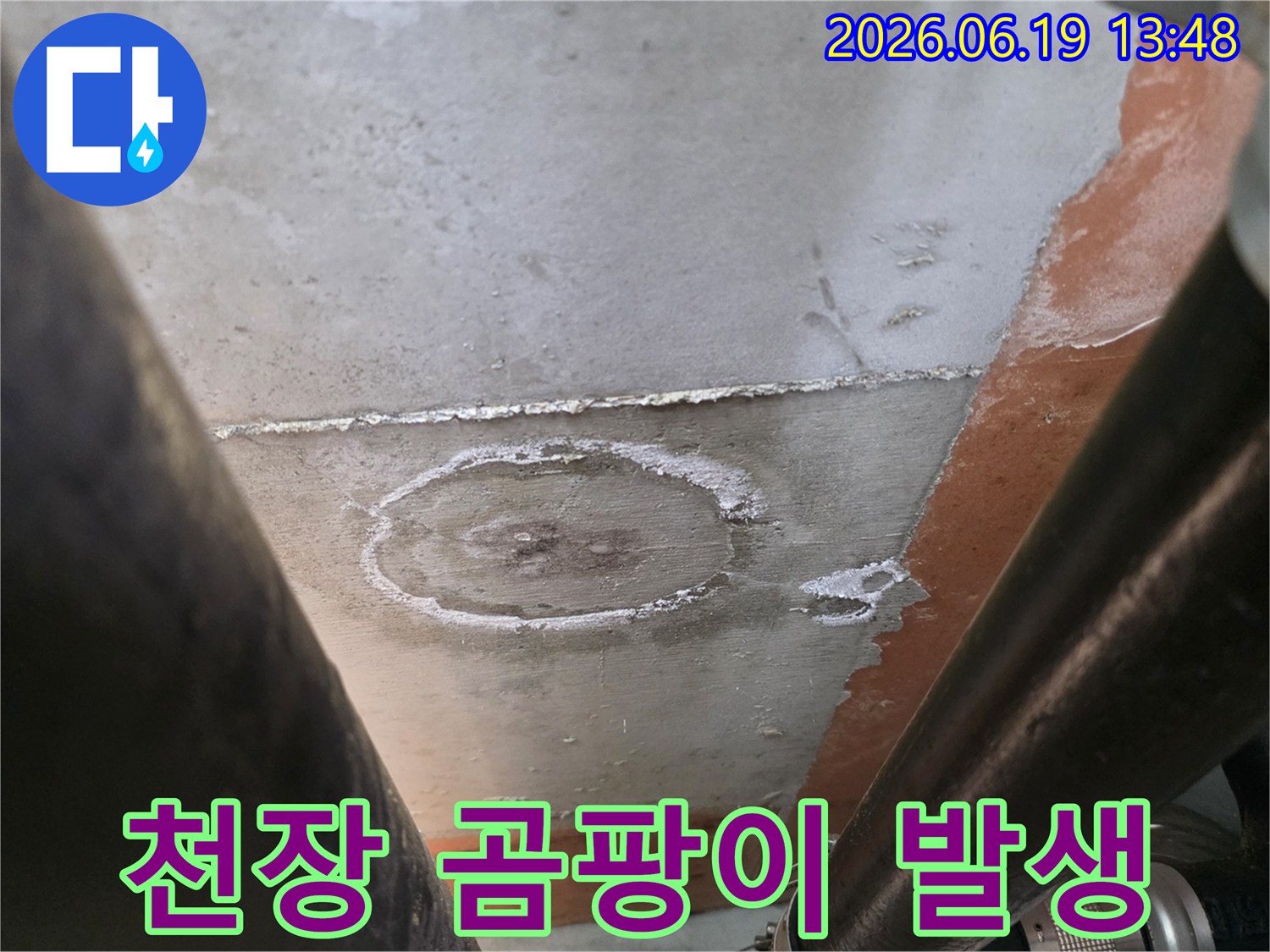 천장-표면에-나타난-곰팡이-흔적과-누수로-인한-습기-피해