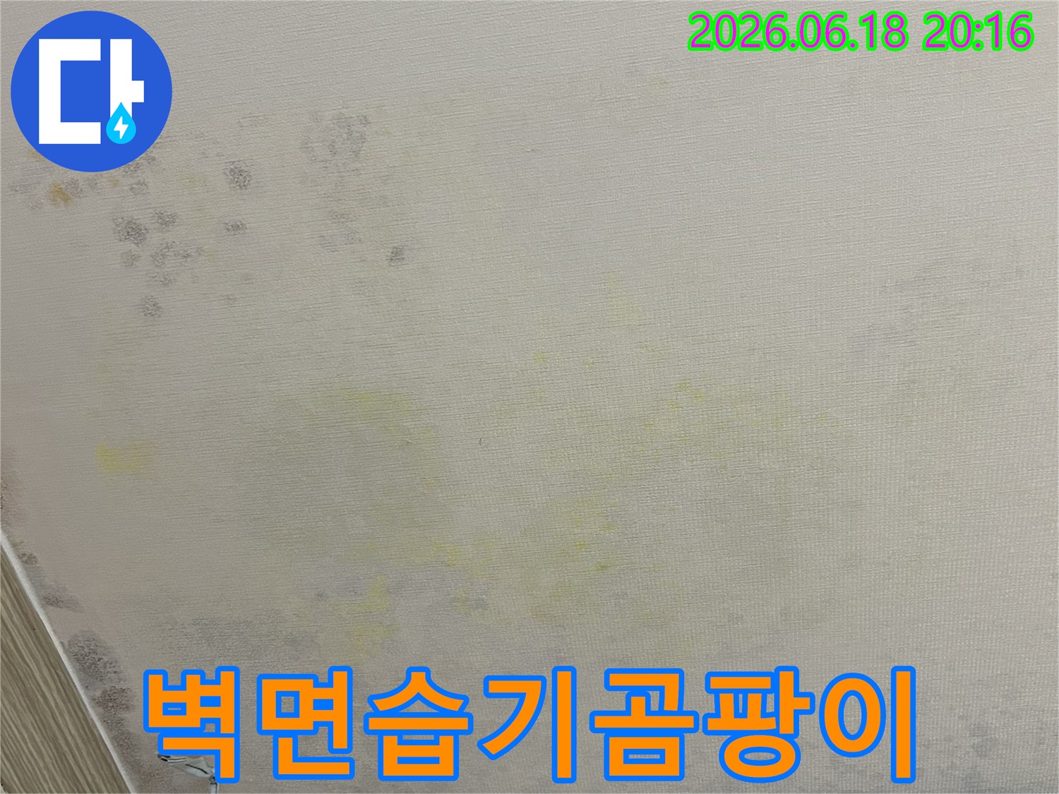 벽면에-생긴-습기와-곰팡이-오염-상태를-보여주는-누수-현장-사진