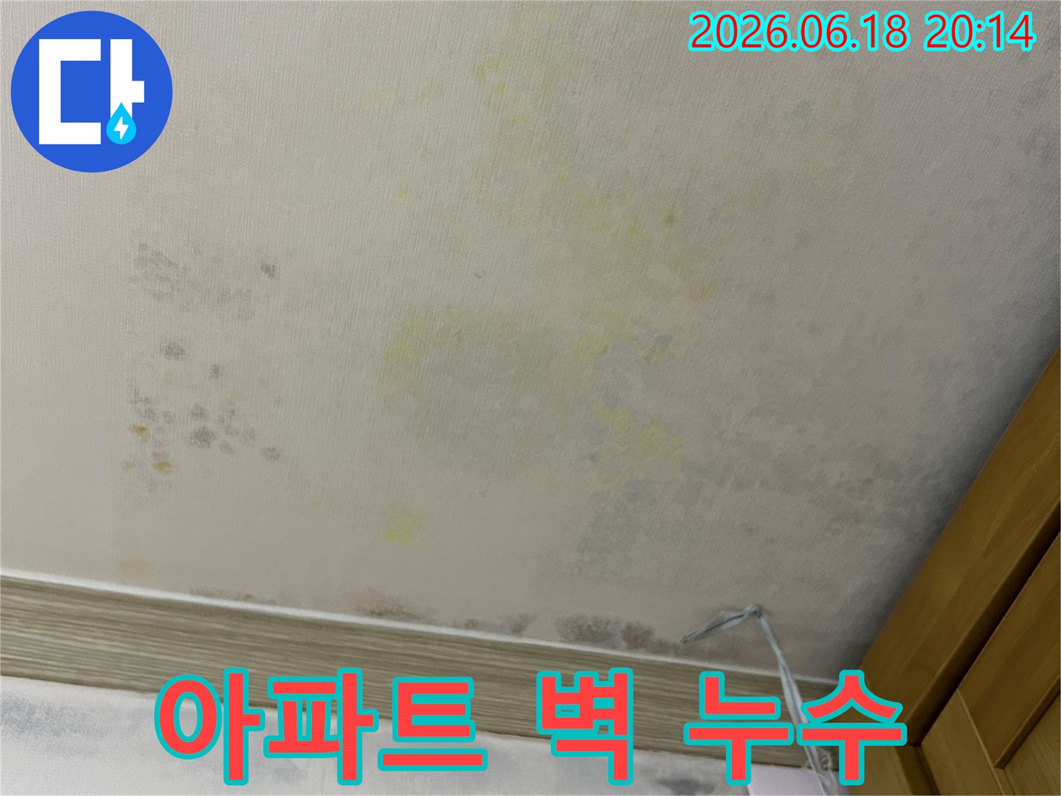 아파트-벽면에-누수가-발생하여-벽지가-젖고-곰팡이가-피어난-모습입니다.