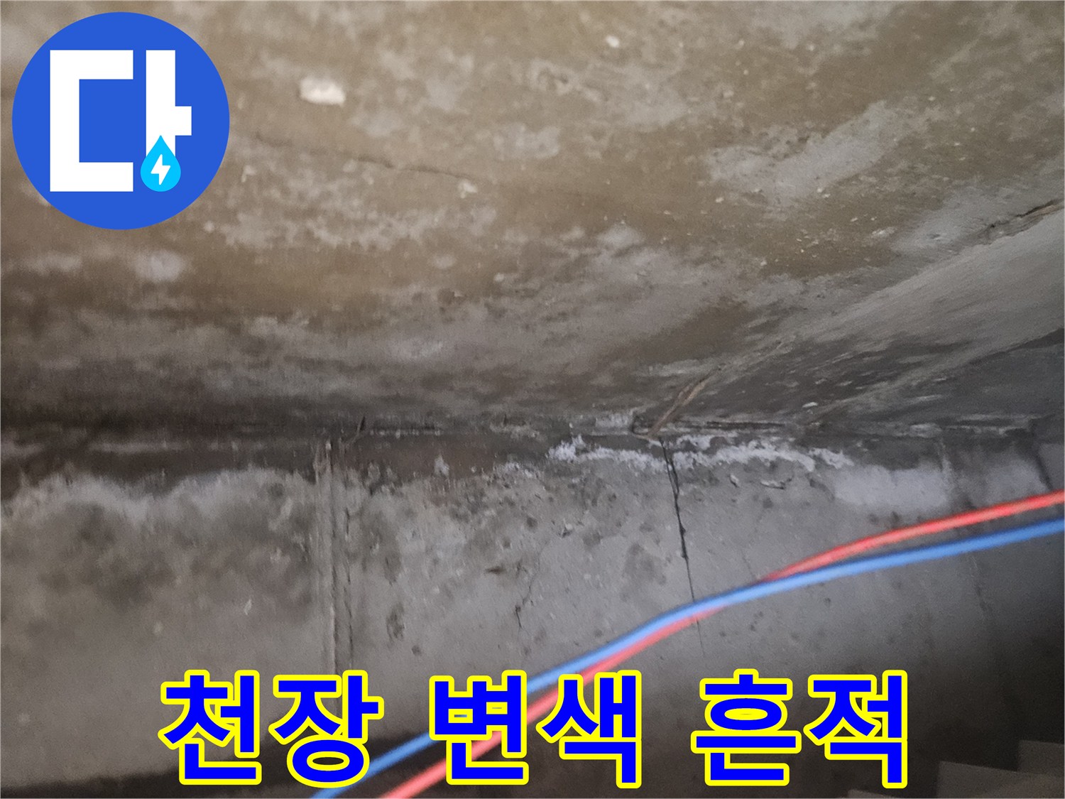 연수구 아파트 천장의 누수 변색 부위 확인