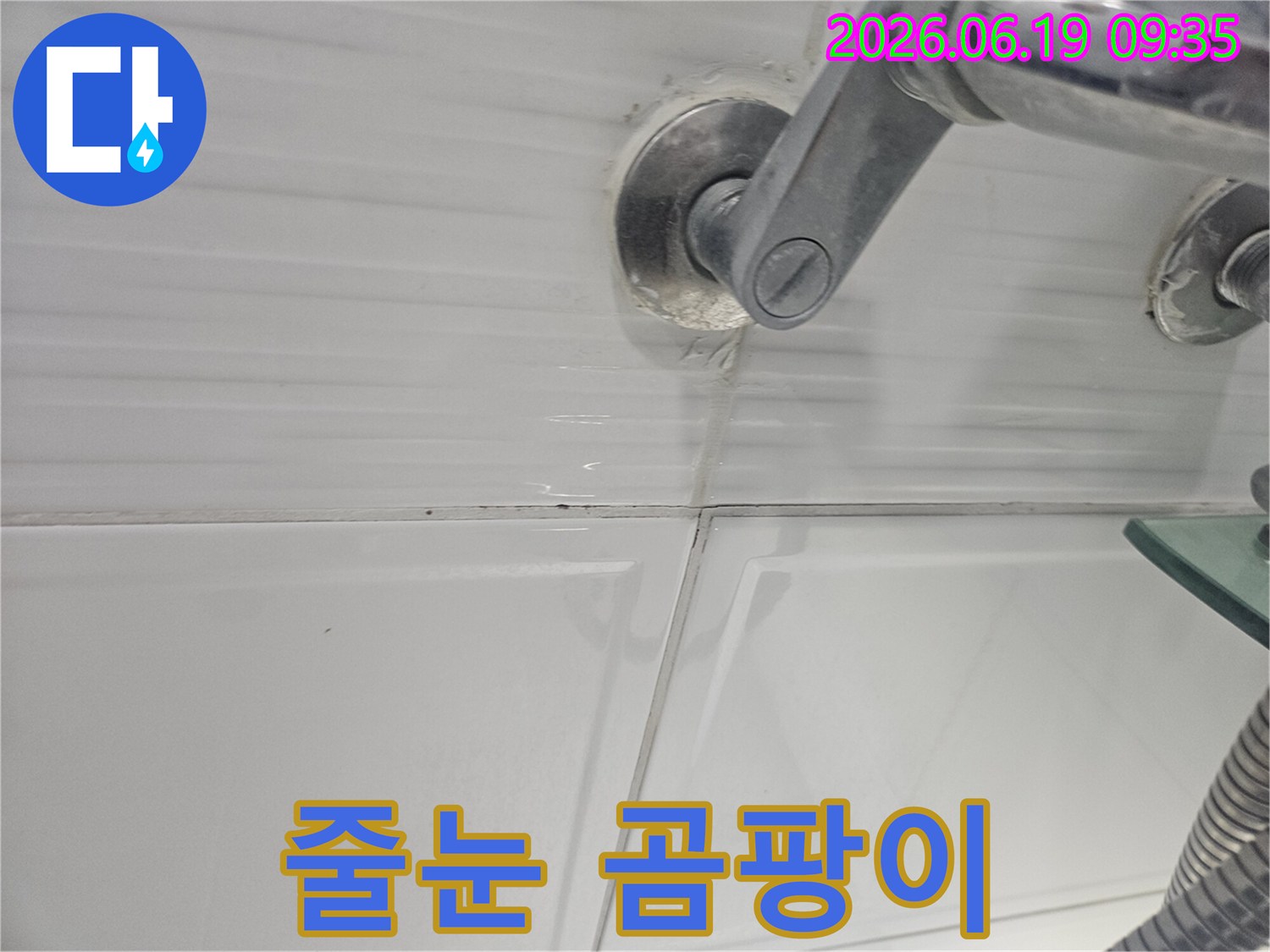 욕실 타일 줄눈에-발생한 곰팡이와-물 스밈 현상을-확대하여 보여주는-누수 진단 사진입니다