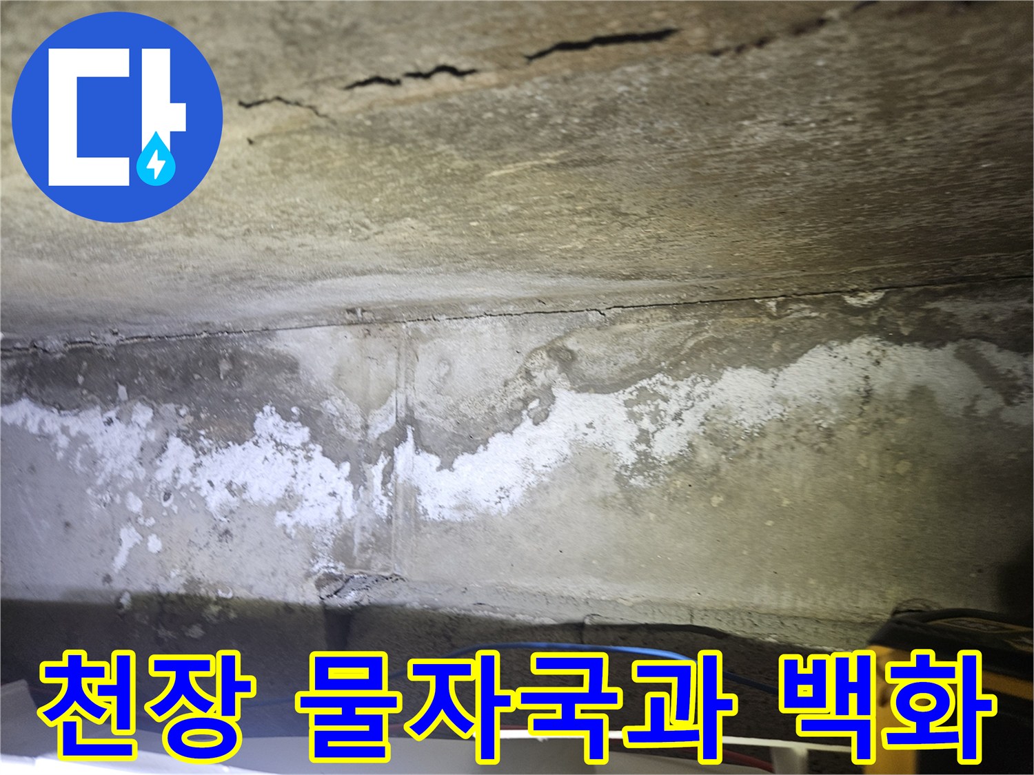 하얀색으로 변색된 천장 콘크리트의 누수 흔적 부위