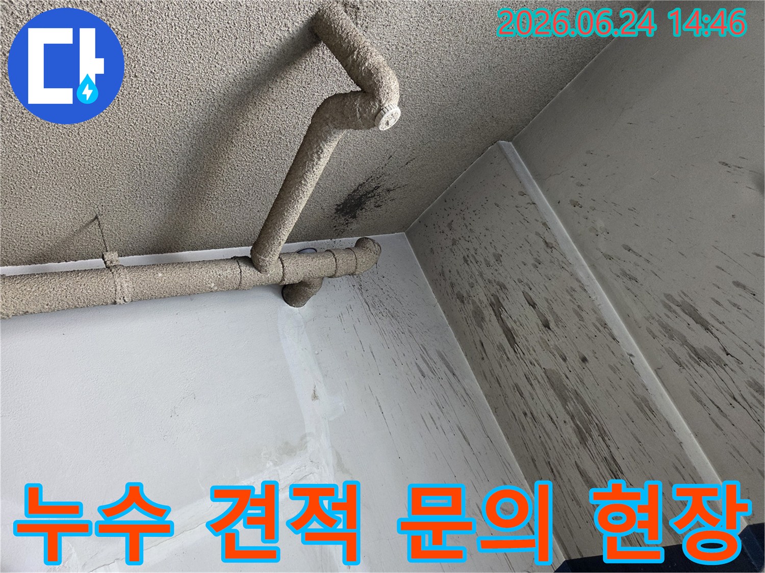 천장 배관에서 발생한 누수로-벽면에 물이 튀어-오염된 현장에서 견적 문의를 받는 모습입니다.