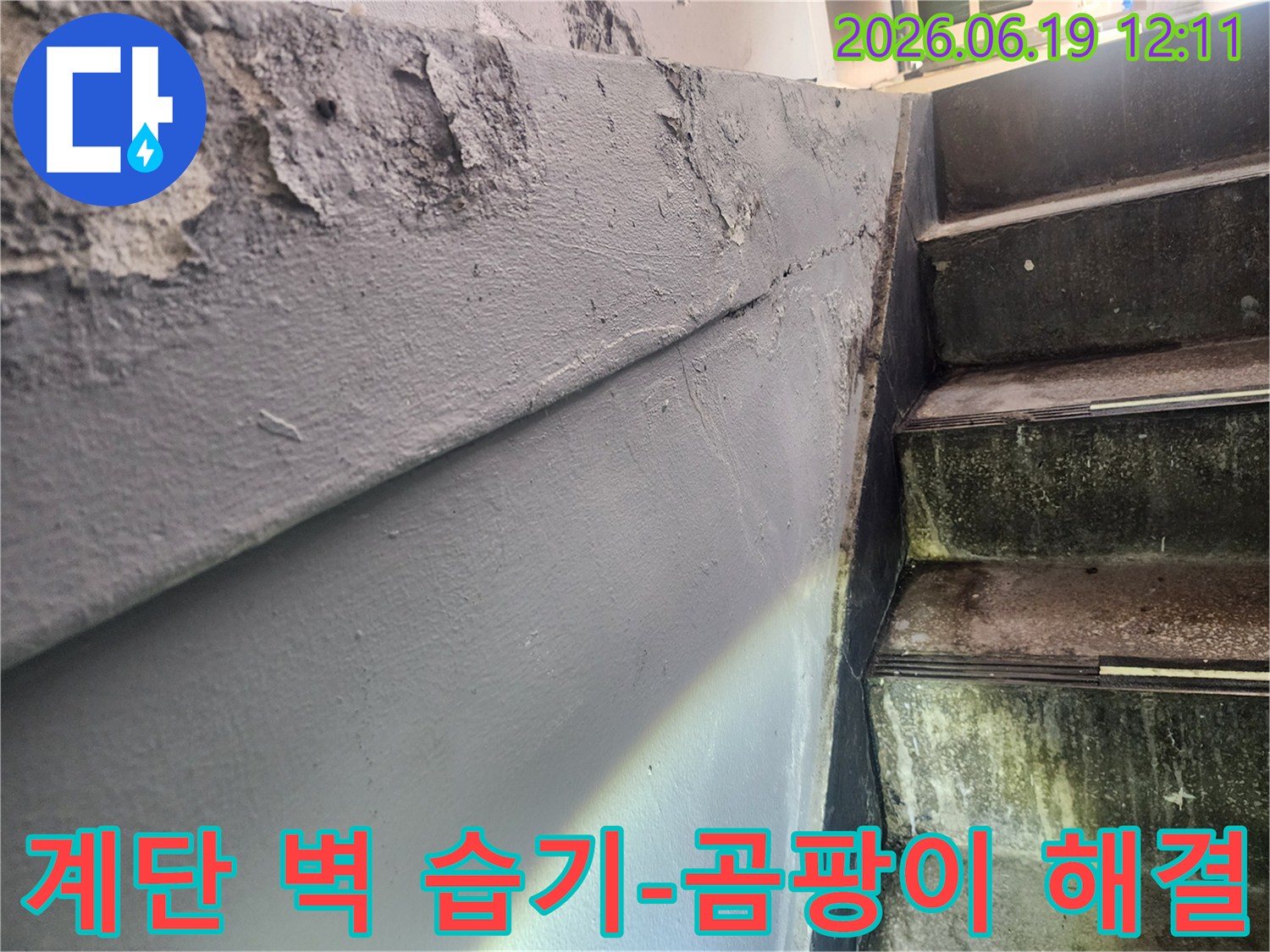 누수로 인해 페인트가 벗겨지고 습기가 찬 계단 옆 벽면-곰팡이 발생 우려가 있는 벽면 상태-건강을 위협하는 습기 및 곰팡이 문제 해결의 중요성