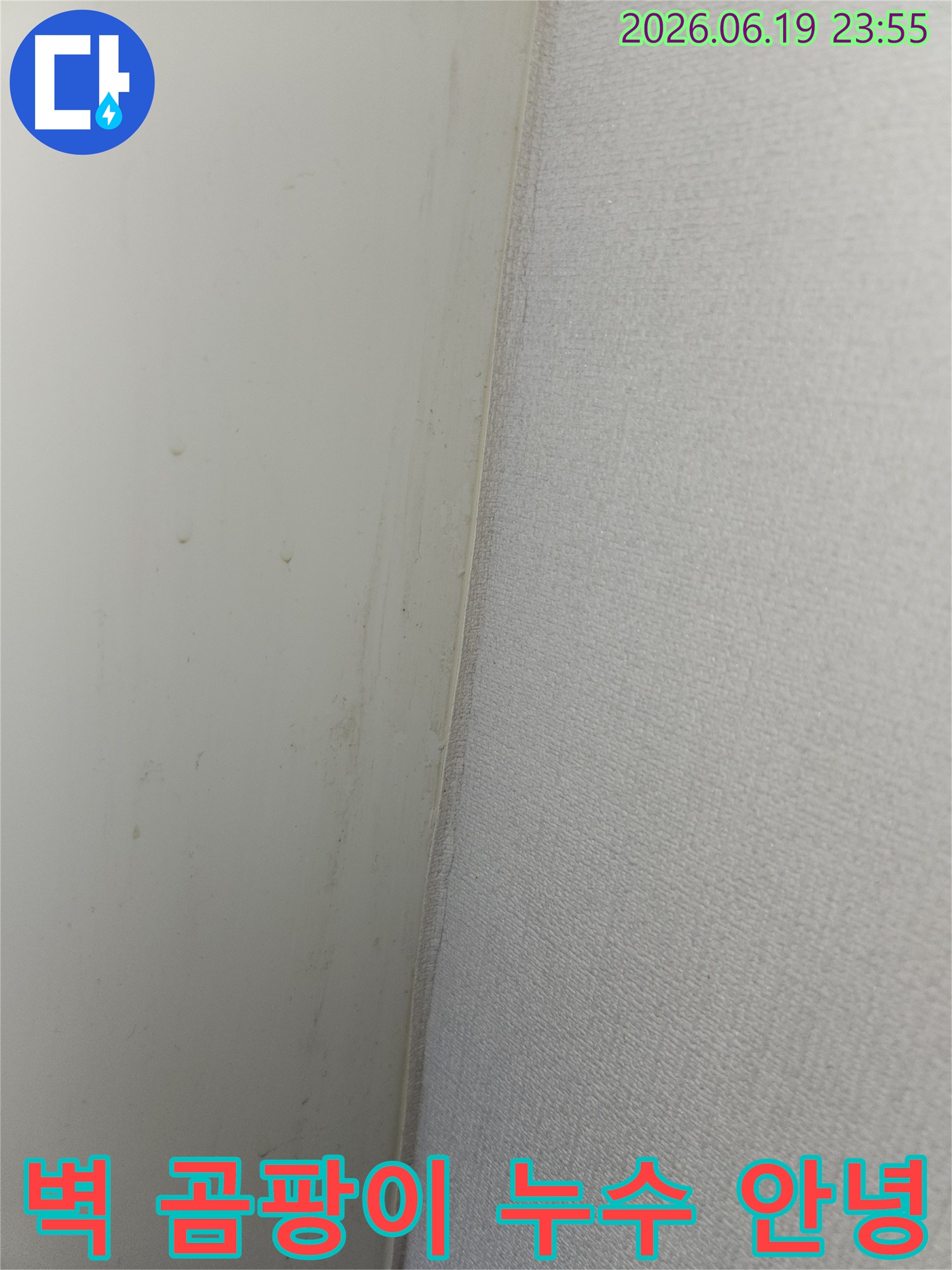 안산 상록구 비발디파크 아파트 벽면에서 발견된 곰팡이와 누수-징후를 해결하고 쾌적한 환경을 되찾는 과정의 사진