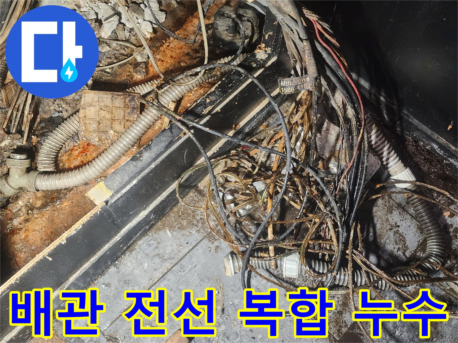 누수-엔지니어가-배관과-전선이-복잡하게-얽힌-누수-현장에서-물에-젖고-부식된-부분을-정밀하게-조사하고-있습니다