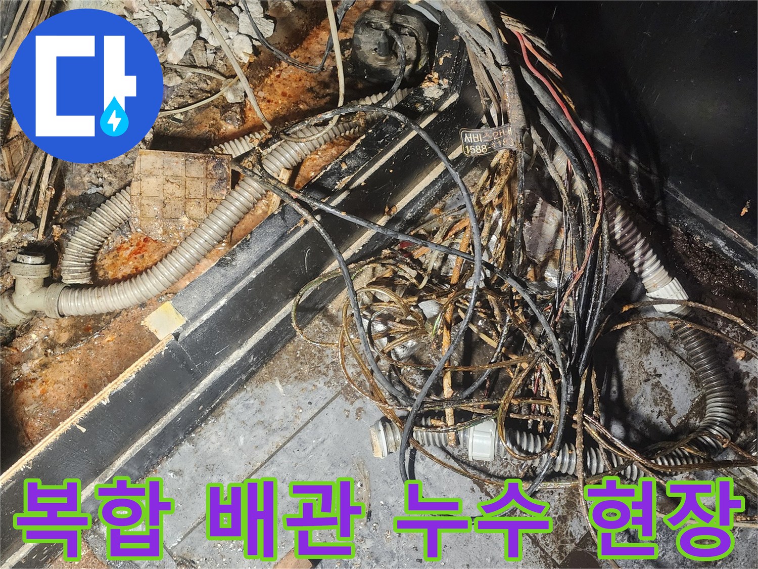 누수-엔지니어가-복잡하게-얽힌-배관과-전선-사이에서-누수-흔적을-찾아내기-위해-집중적으로-조사하고-있습니다