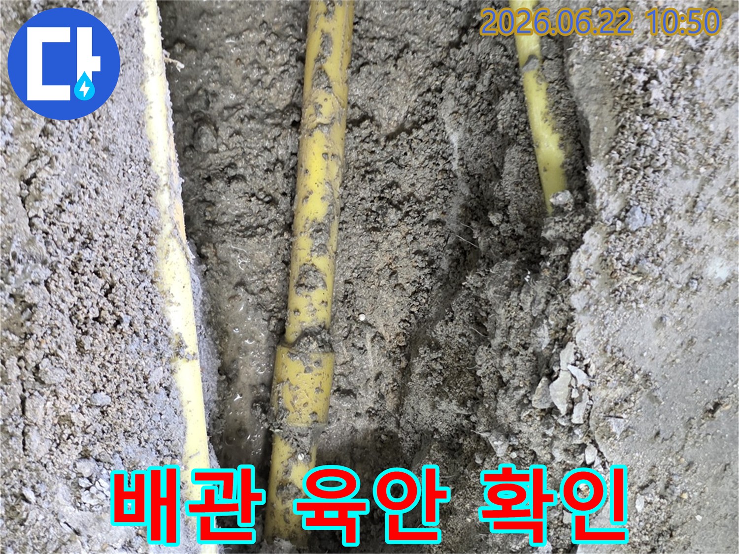 누수 발생 지점을 찾기 위해 땅을 파내어 드러난 배관의 상태를 면밀히 관찰하는 작업