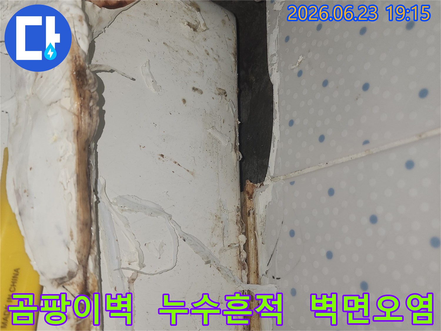 누수로-인해-벽면과-천장-경계에-광범위하게-번식한-곰팡이-모습