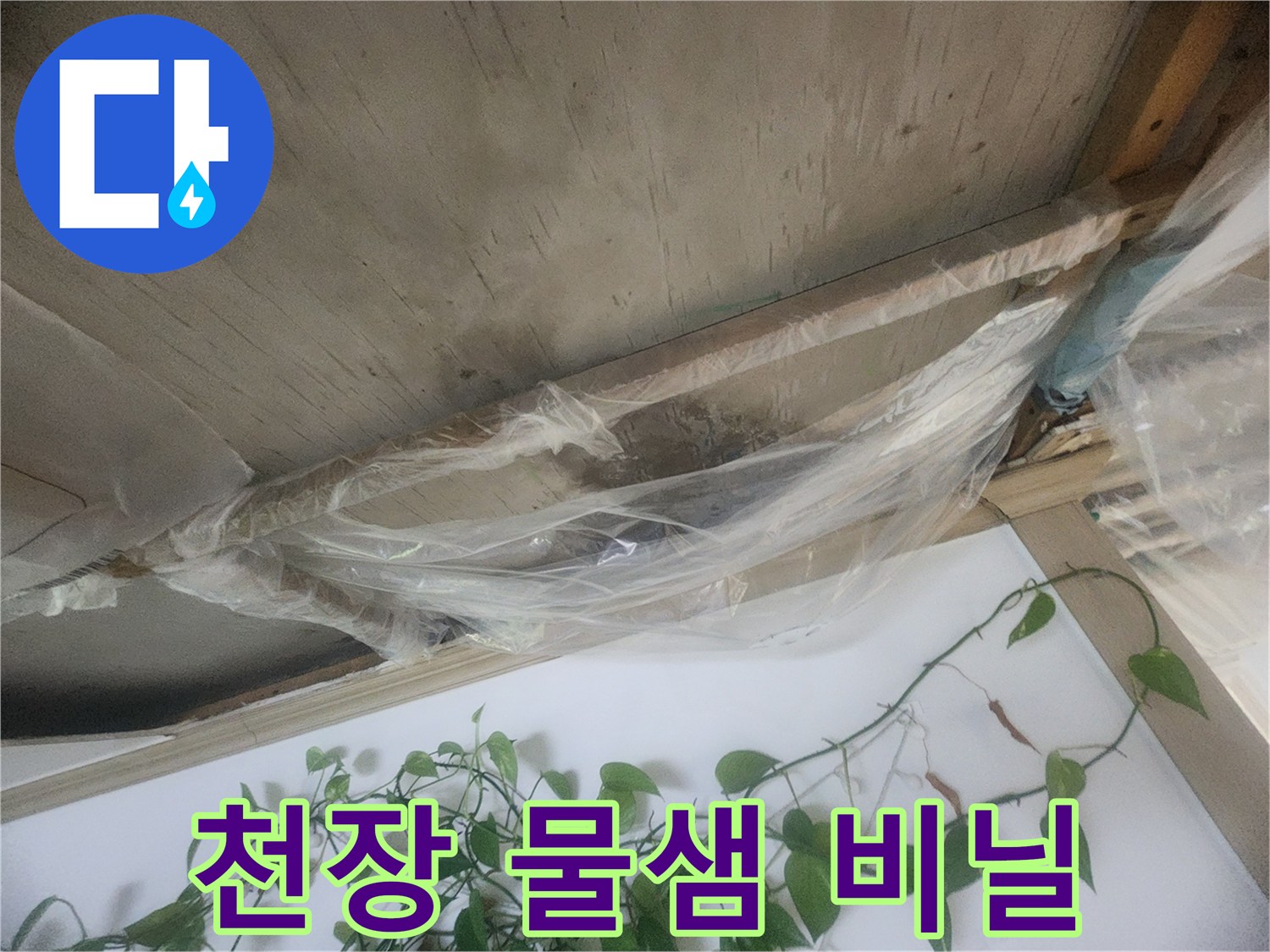 누수로 인해 천장에서 물이 떨어지는 상황을 임시로 막기 위해-비닐로 보양한 모습
